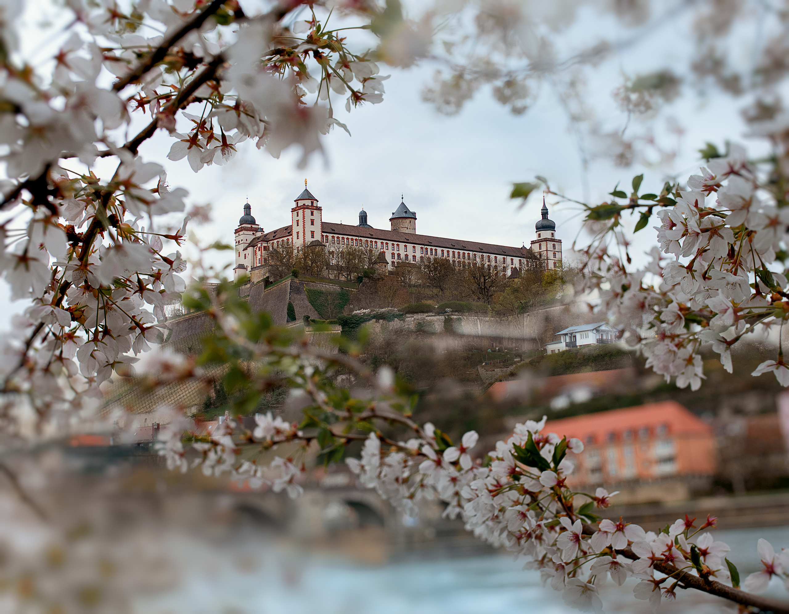 Hochzeitsfotograf Würzburg – Anna Saribekyan | Natürliche Hochzeitsfotografie. Hochzeitsfotograf Würzburg | Anna Saribekyan