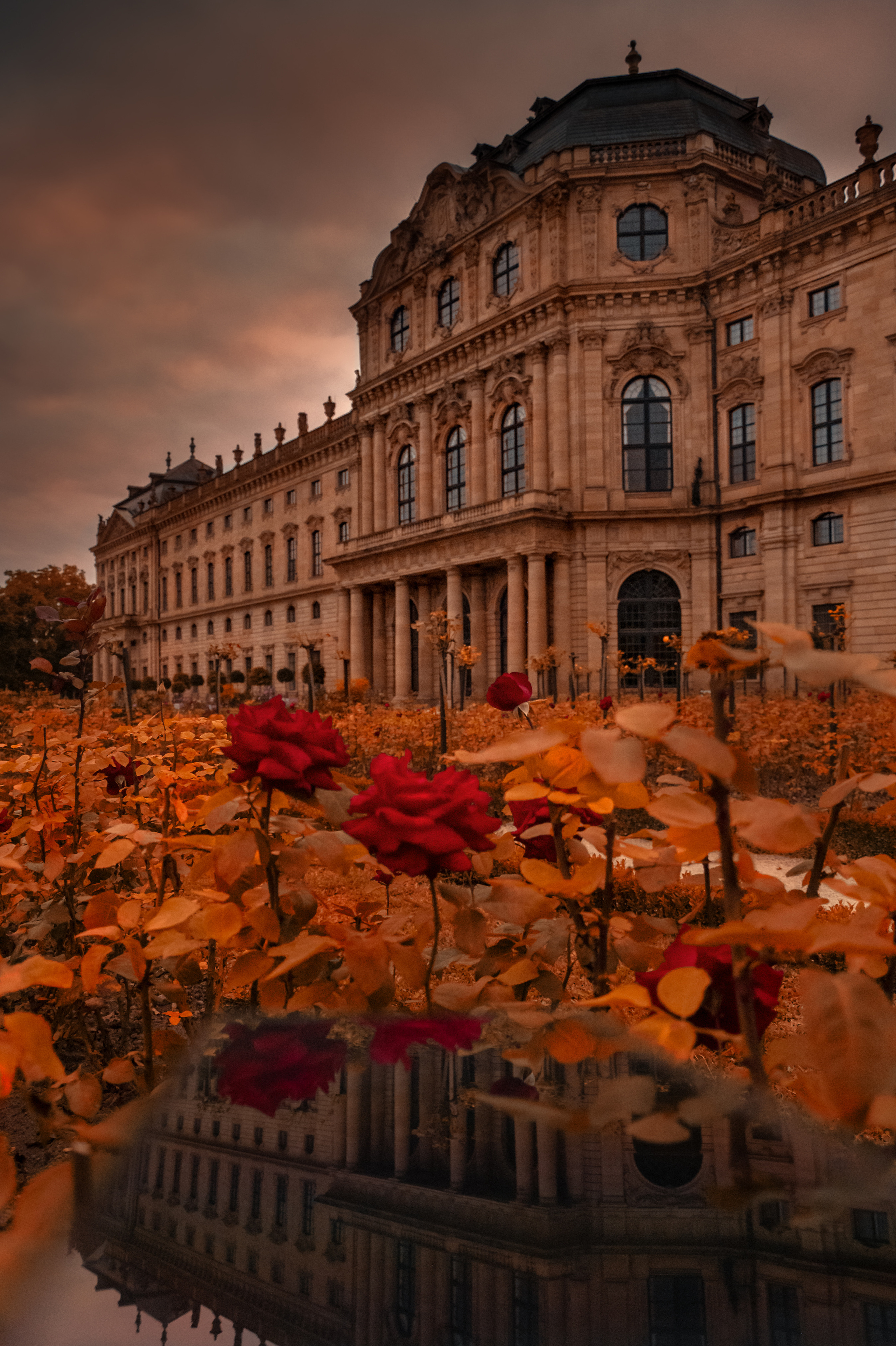Hochzeitsfotograf Würzburg – Anna Saribekyan | Natürliche Hochzeitsfotografie. Hochzeitsfotograf Würzburg | Anna Saribekyan