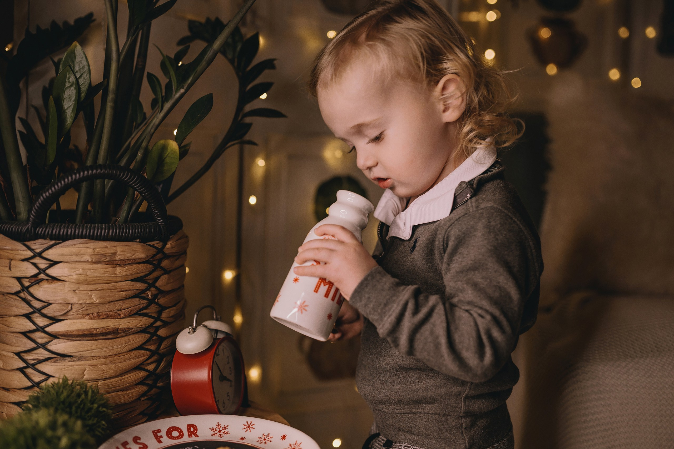 11.16.2025 Christmas Photoshoot. Wedding family event photographer in Chicago Nick Yushevich