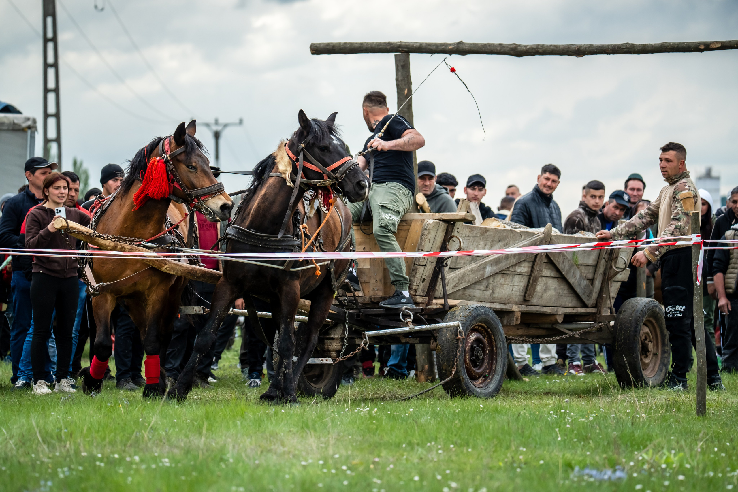 Concurs Ecvestru Vărbilău ediția a 4-a. Mihai Alexandra Events