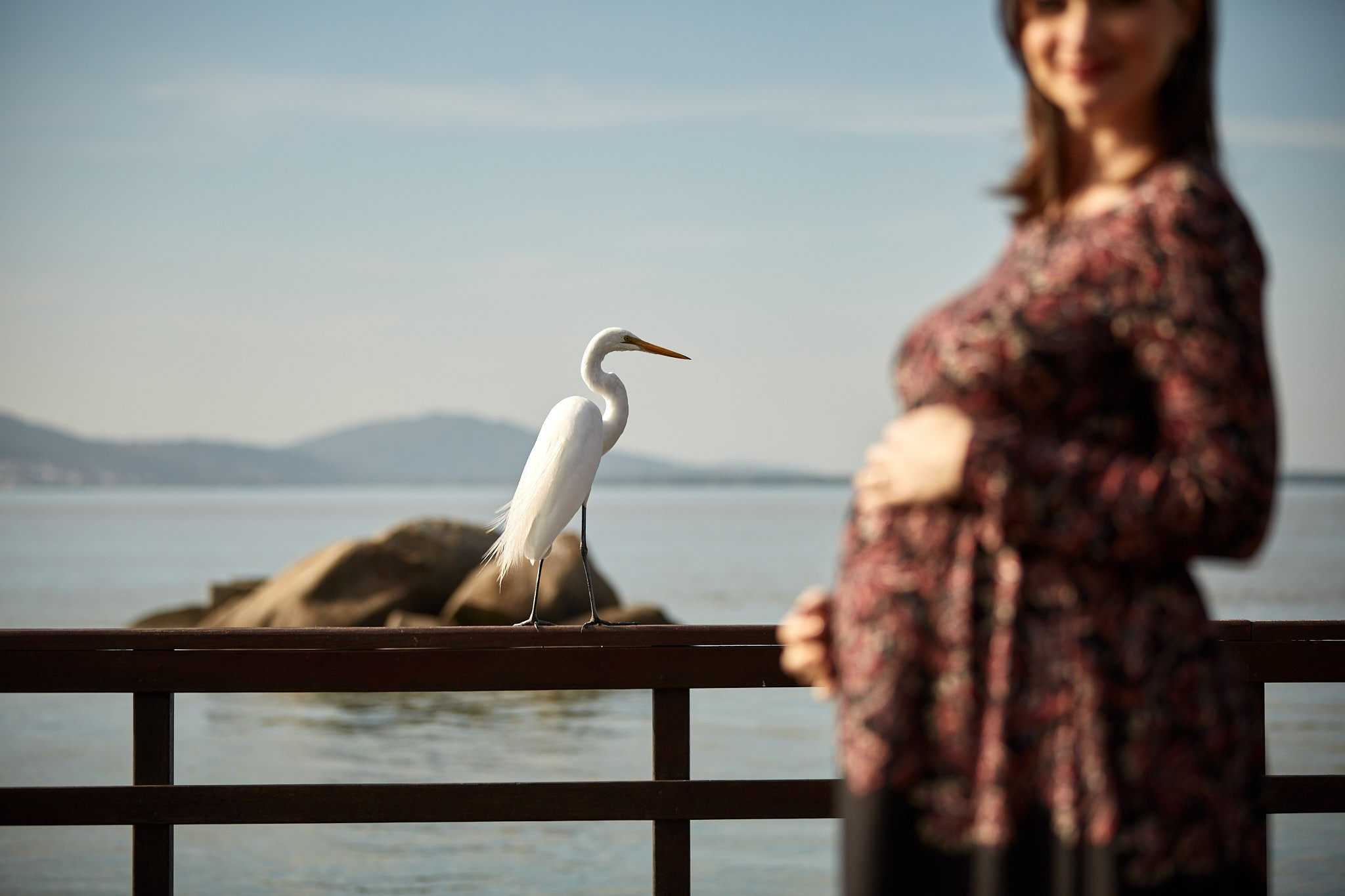 Ensaio Lívia e Tiago. Fotógrafo de casamentos em Florianópolis