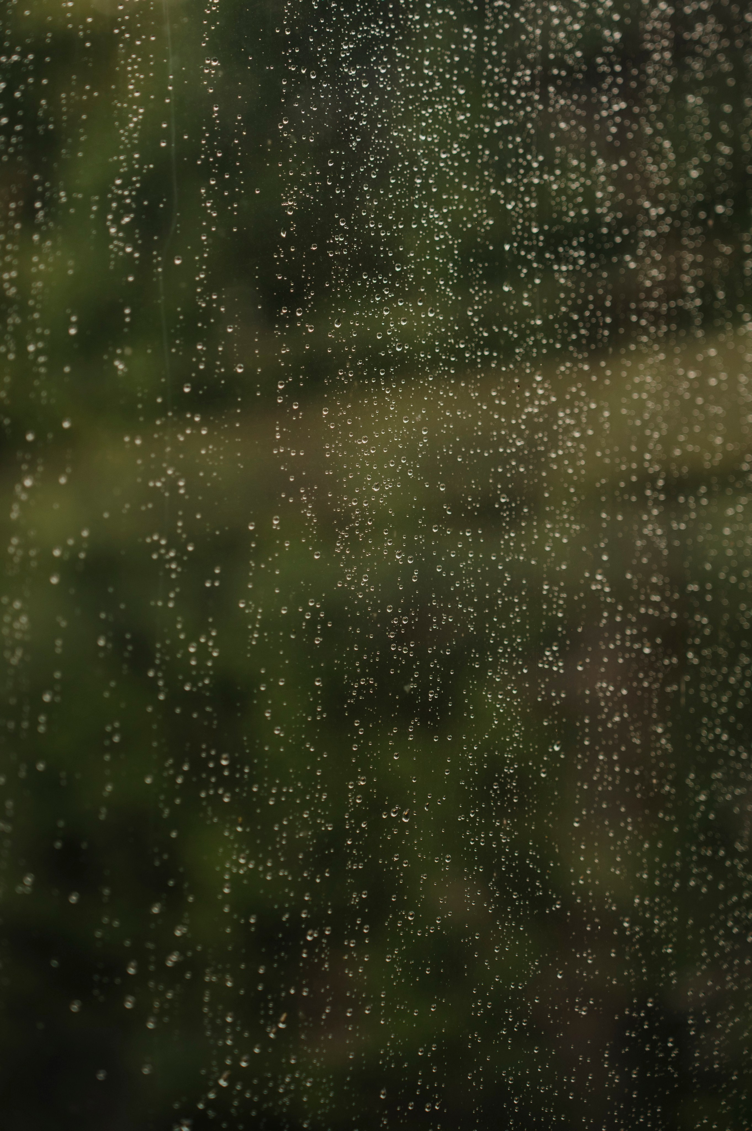 D&M. Fotograaf Tallinnas | Anna Borunova | Pulmafotograaf ja Perepildid