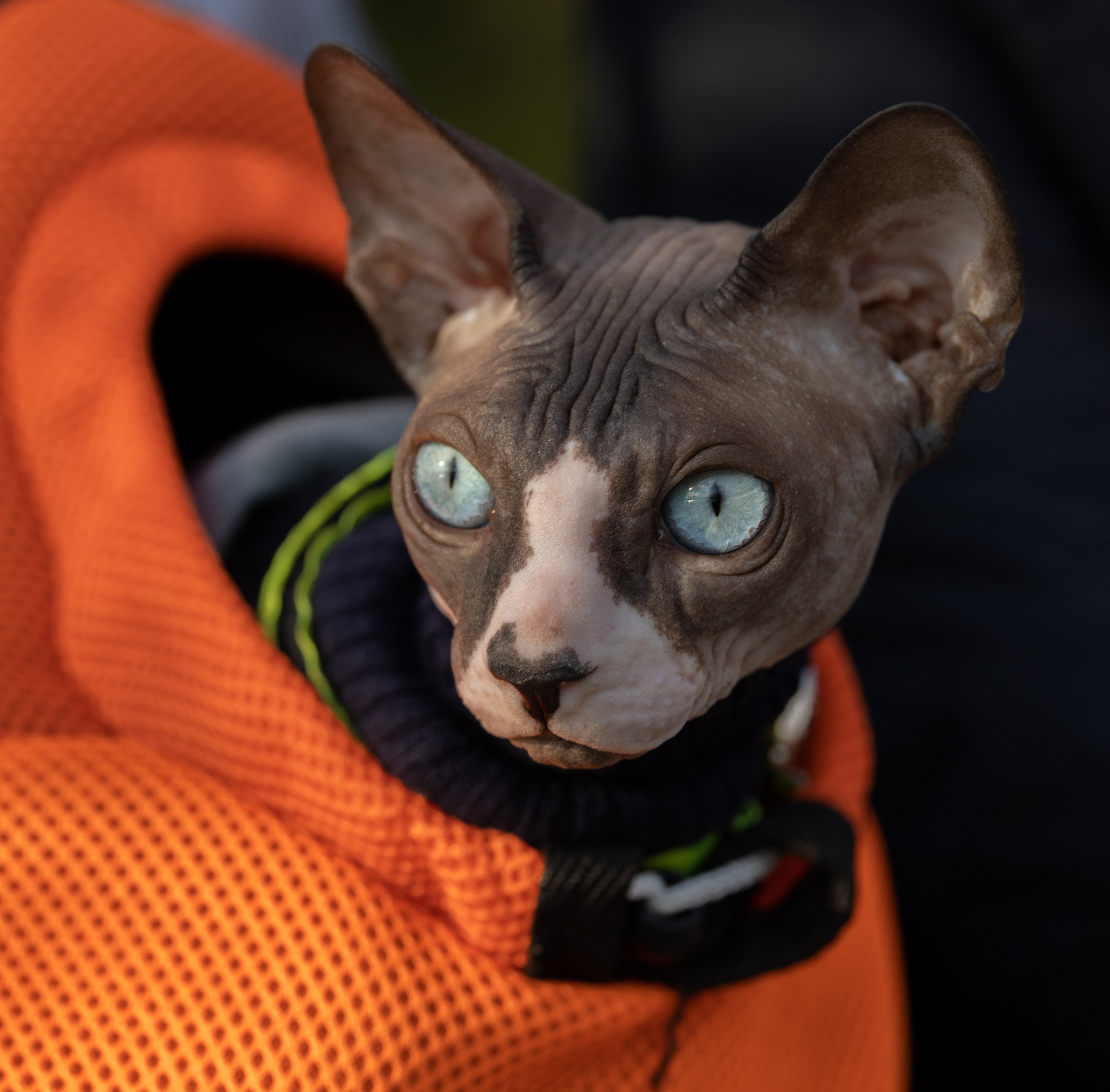 L&A. FotoStory by Lana Gfeller / Kanton Zürich