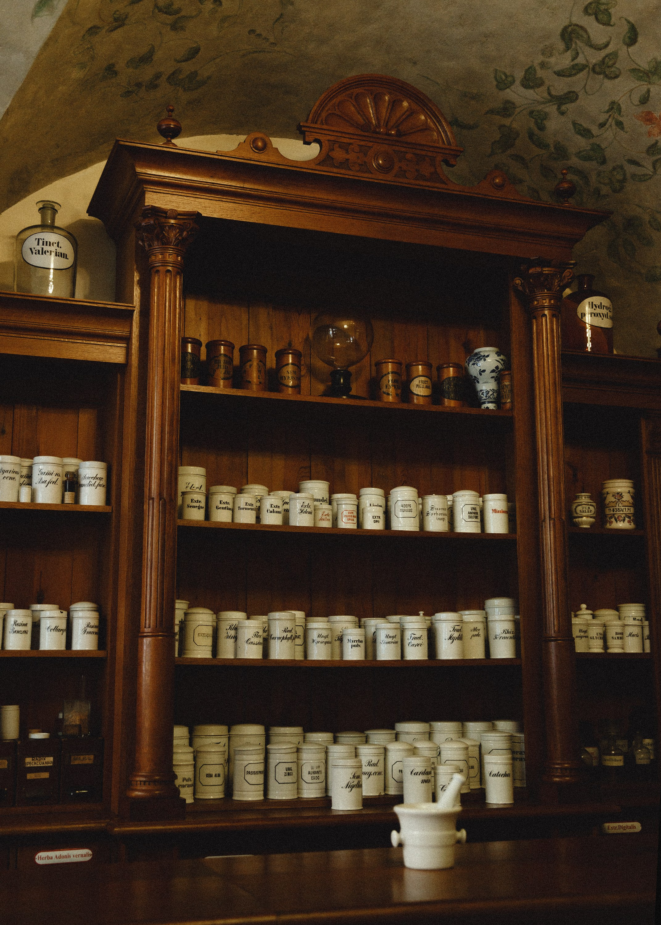 Museum of farmacy in Wroclaw. Kaja | fotograf we Wrocławiu | ludzie i psy