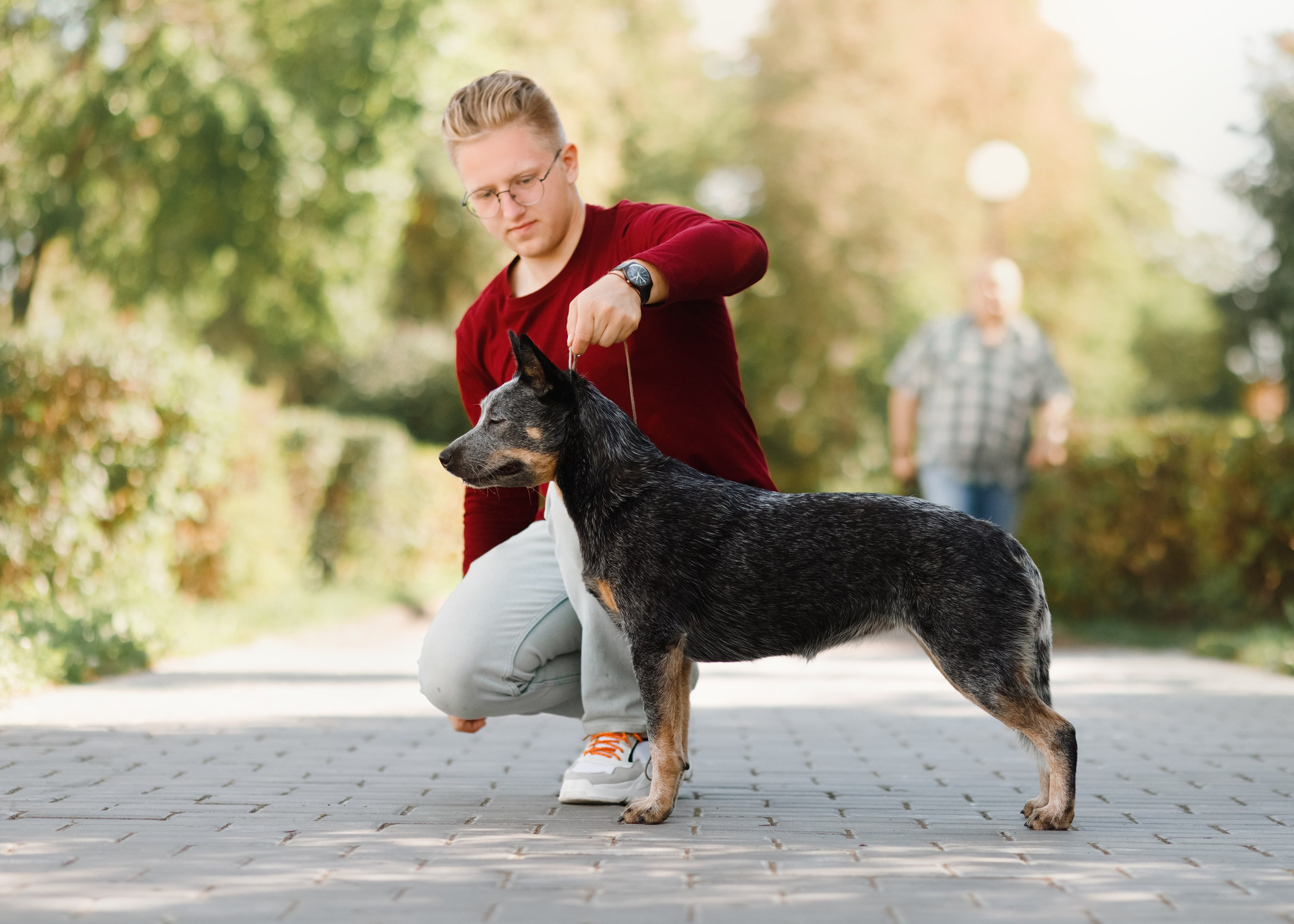 Summer photo day for dog handler. Kaja | fotograf we Wrocławiu | ludzie i psy