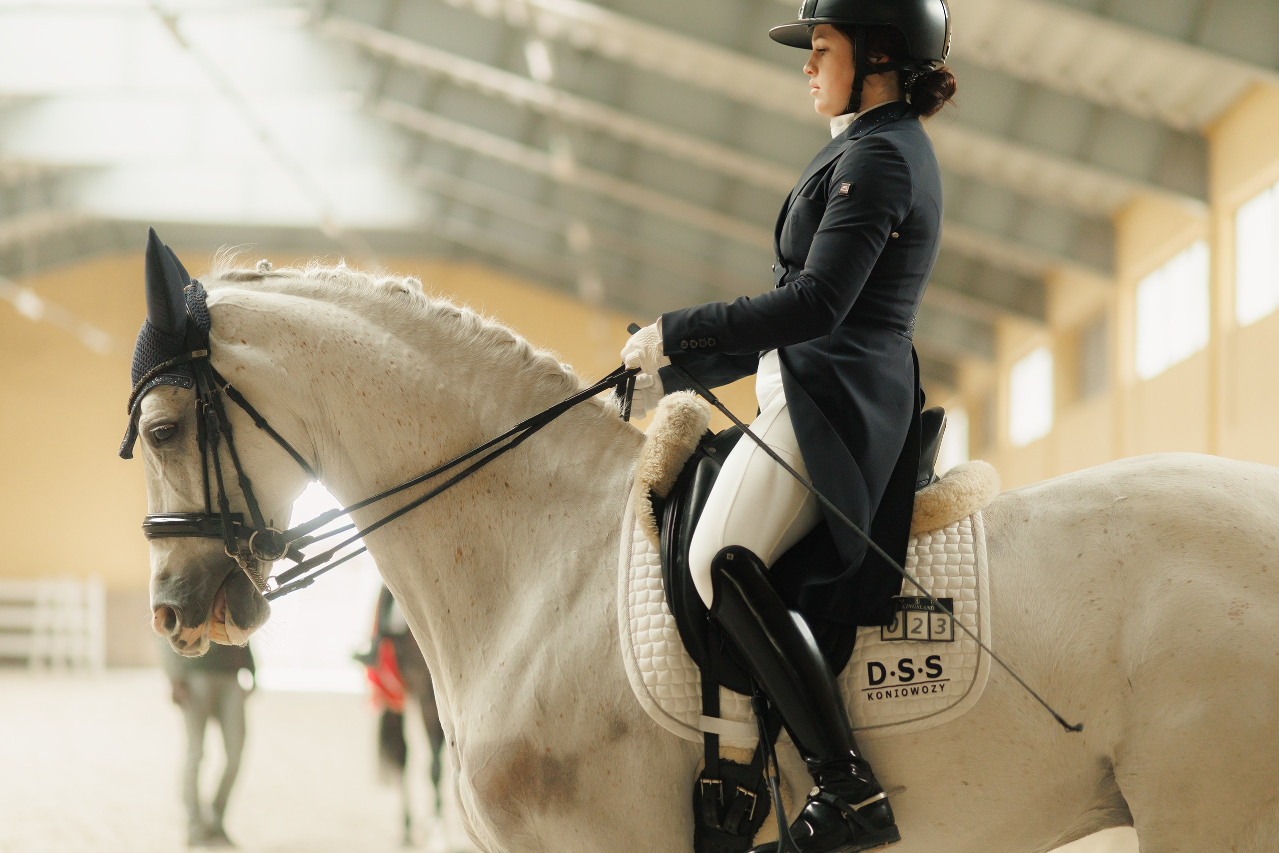 Fotografia koni Wrocław \ ujeżdżenie, Partynice. Kaja | fotograf we Wrocławiu | ludzie i psy