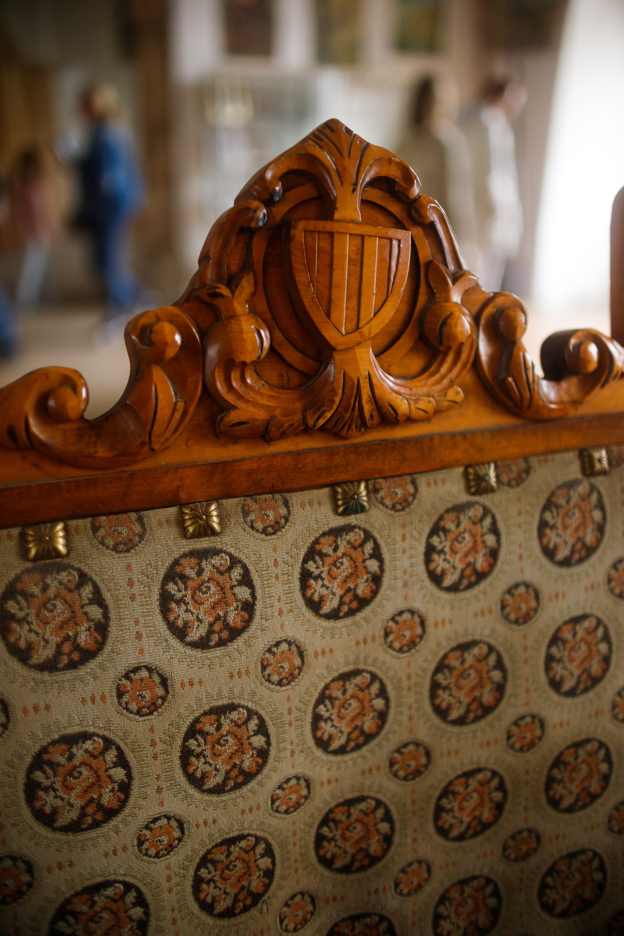 Zamek Grodziec. Kaja | fotograf psów we Wrocławiu