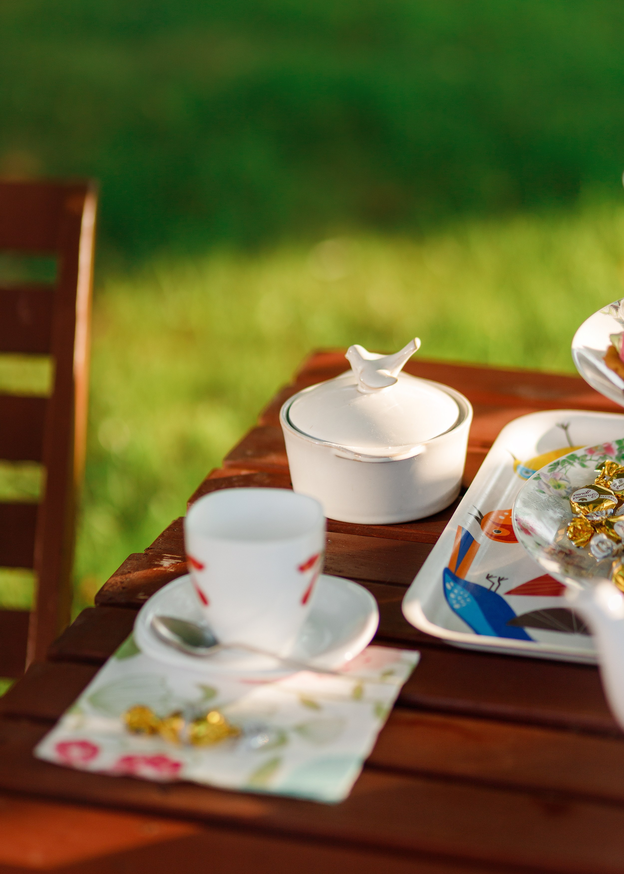 Nastya & Spark and Boss. Kaja | fotograf psów we Wrocławiu