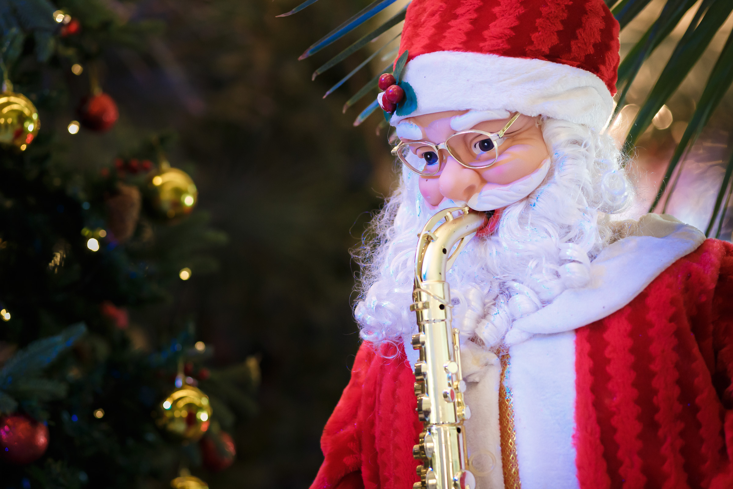 Корпоративный фотограф ташкент