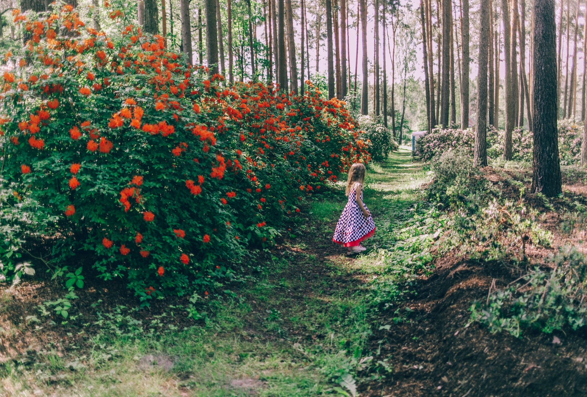 Alise. Sandra Garanca Portrait and event photographer