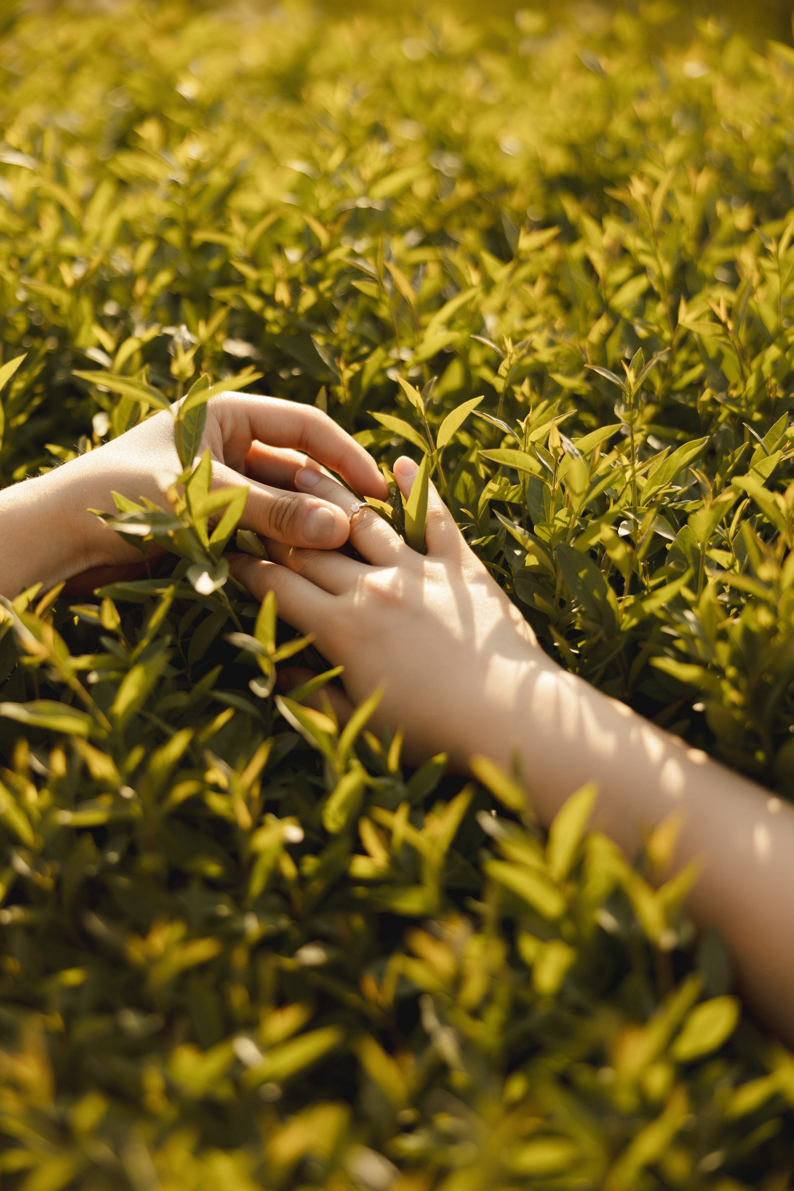 Медер и Айжан. Азимжан Нуритдинходжаев — свадебный фотограф