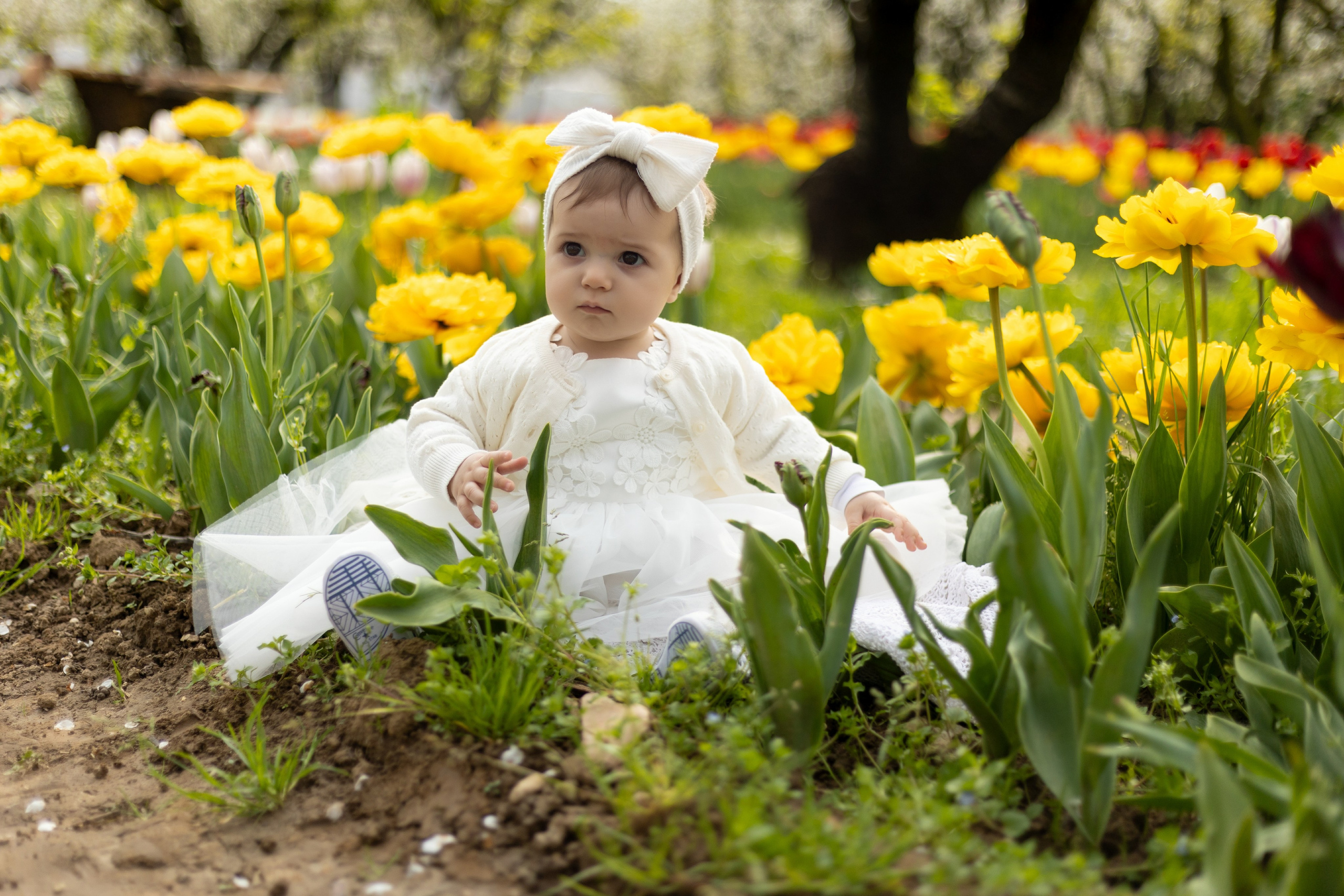 Camilla, Annalisa e Vanni. Luci e Capricci Photography