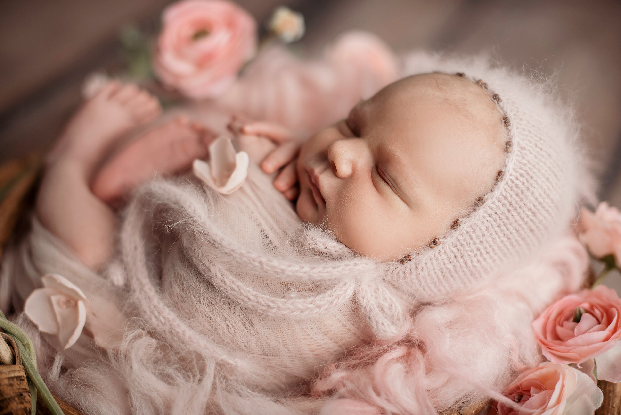 Felicity Ann. Newborn, pregnancy, family photographer in New Jersey