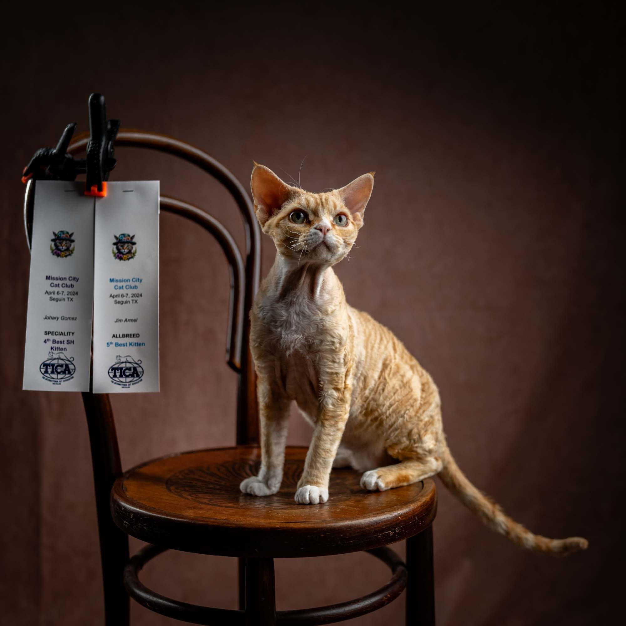 Choux. Photographer Irina Kozhemyakina. Houston