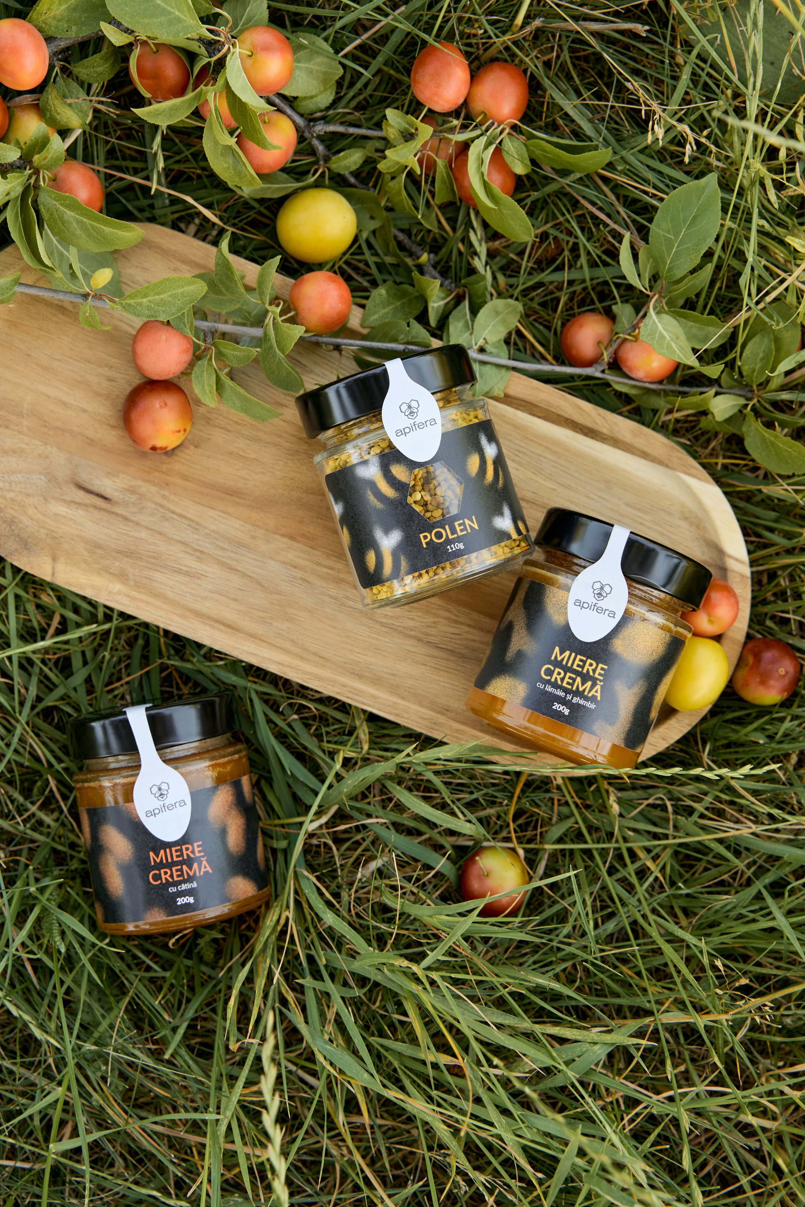 Apifera. Привет