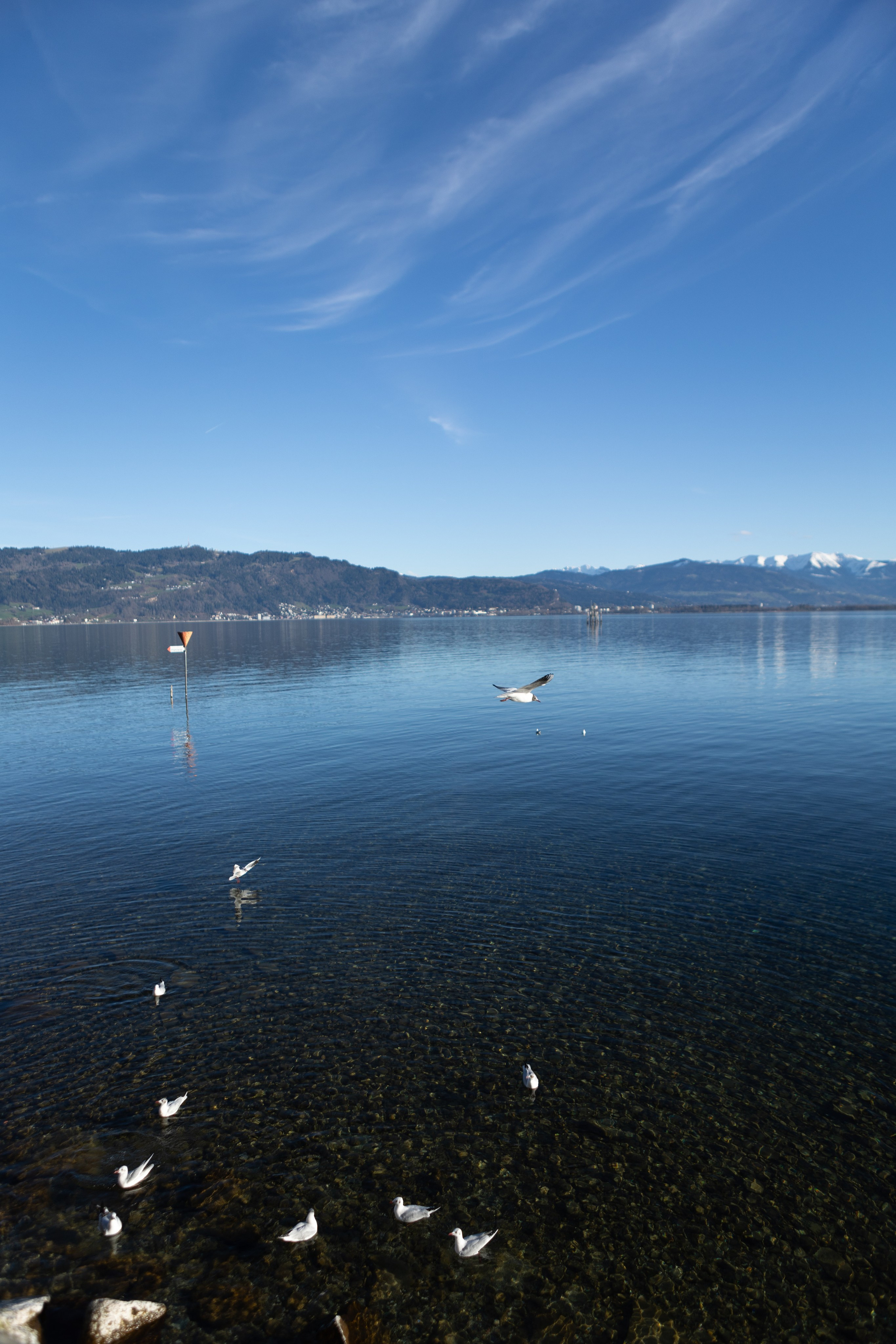 <img src="bild1.jpg" alt="Lindau Insel Fotografie kaufen"><img src="bild2.jpg" alt="Lindau Bodensee Bilder"><img src="bild3.jpg" alt="Lindau Altstadt Fotos kaufen"><img src="bild4.jpg" alt="Lindau Hafen Fotodruck"><img src="bild5.jpg" alt="Lindau Uferpromenade Wandbilder"><img src="bild6.jpg" alt="Lindau Kunstfotografie kaufen"><img src="bild7.jpg" alt="Lindau Leuchtturm und Löwe Bilder"><img src="bild8.jpg" alt="Lindau Innenstadt schöne Bilder"><img src="bild9.jpg" alt="Lindau Landschaftsfotografie kaufen"><img src="bild10.jpg" alt="Lindau Bodensee Fotos als Deko">