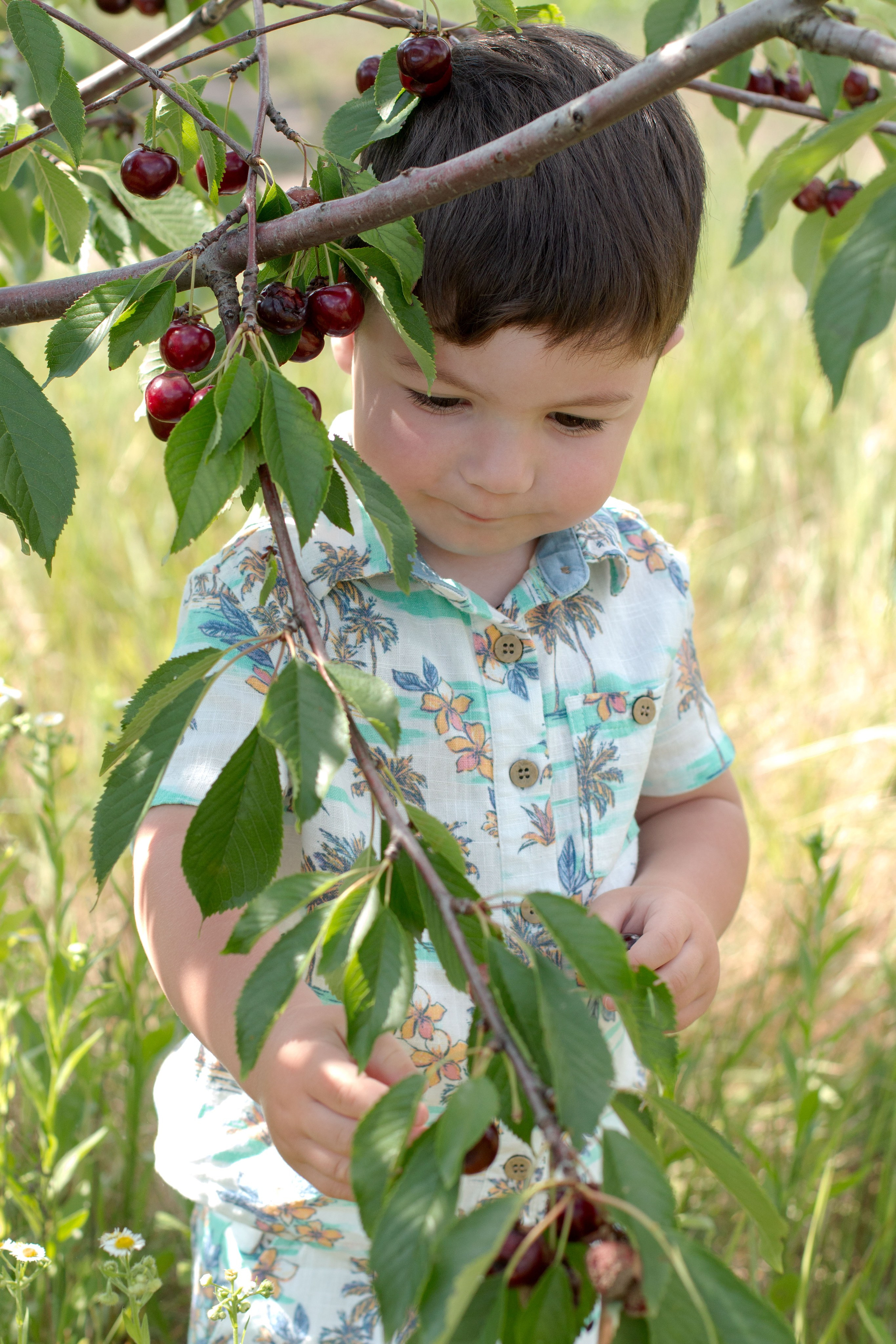 Черешня. Детский и семейный фотограф в г. Бельцы
