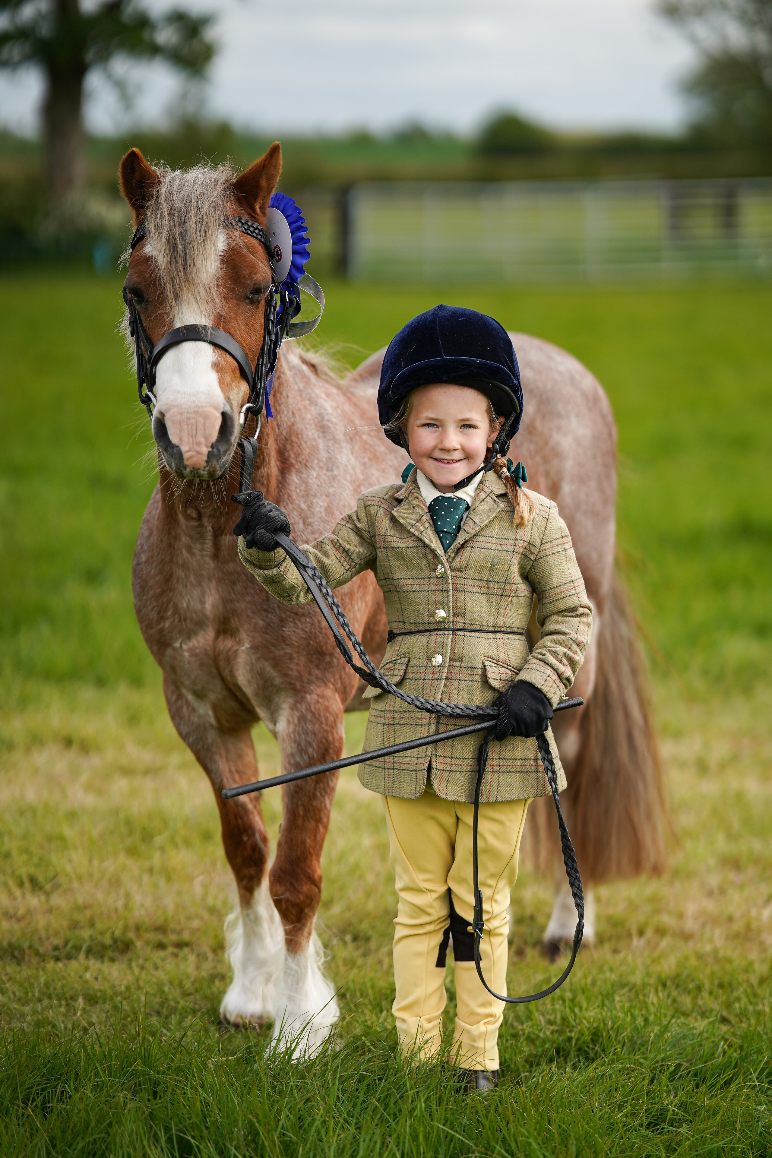 Showing. Leicestershire Equine Photography by El | Authentic Equine Portraits & Events