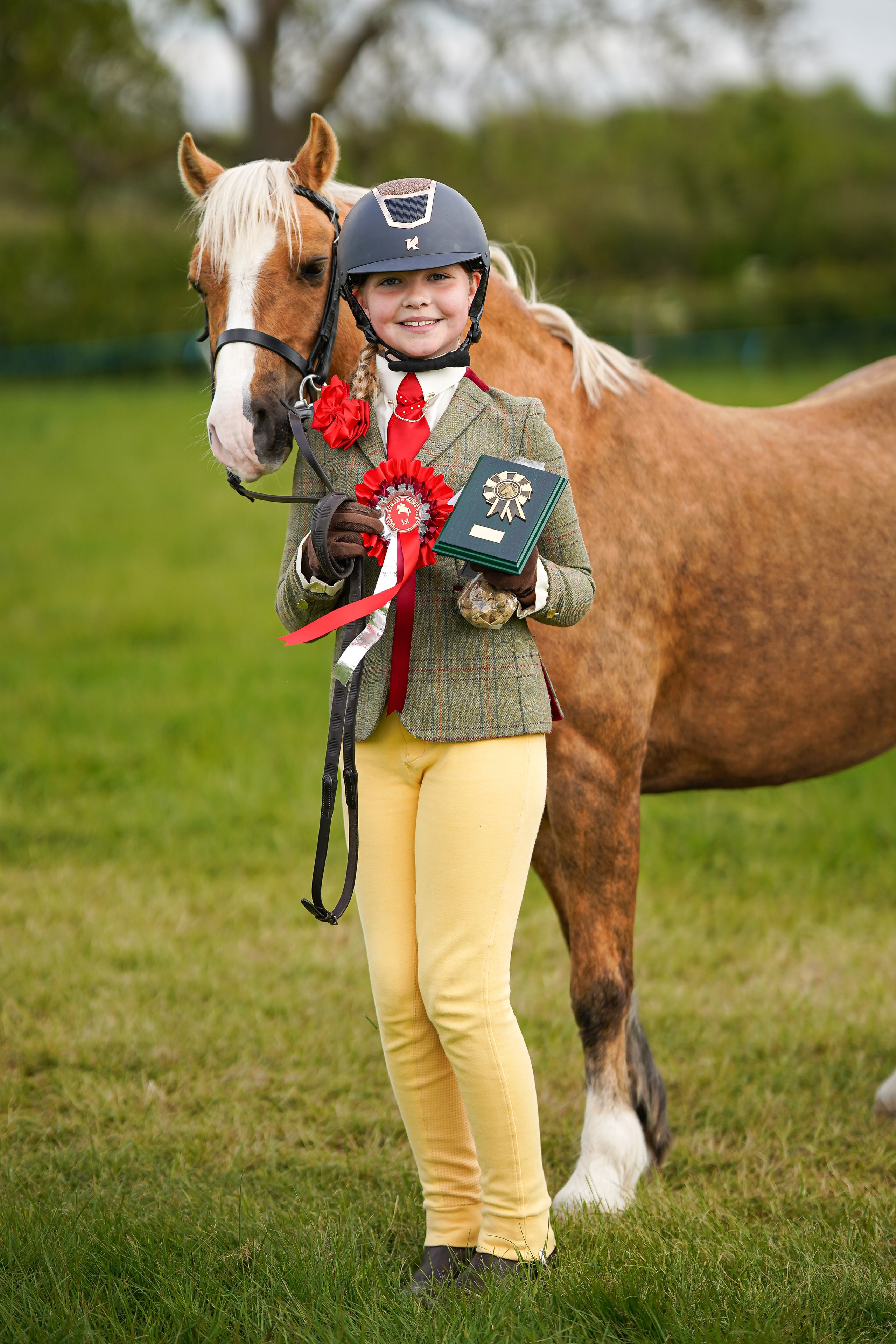 Showing. Leicestershire Equine Photography by El | Authentic Equine Portraits & Events