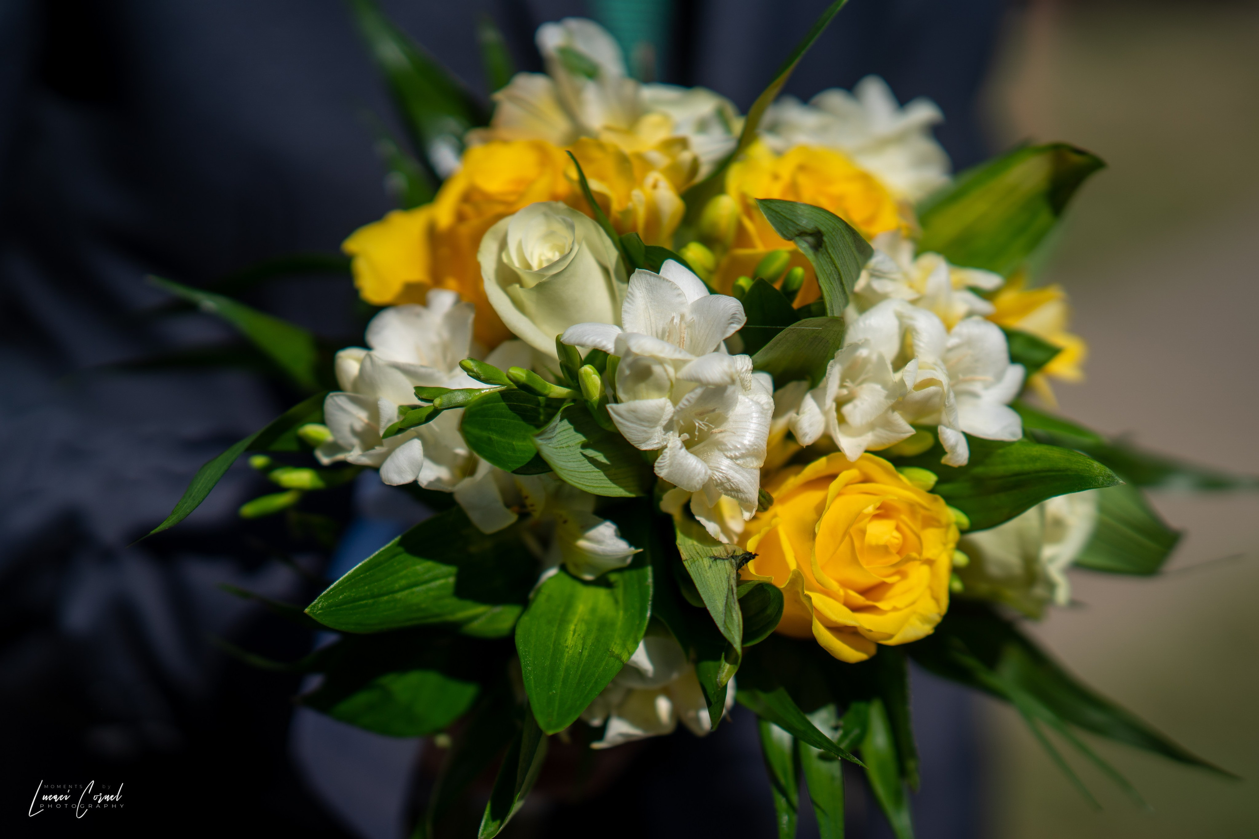 Andreea & Ștefan – Nuntă cu suflet. Fotograf de nuntă, corporate, botezuri, majorate și aniversări Roman, Lucaci Cornel