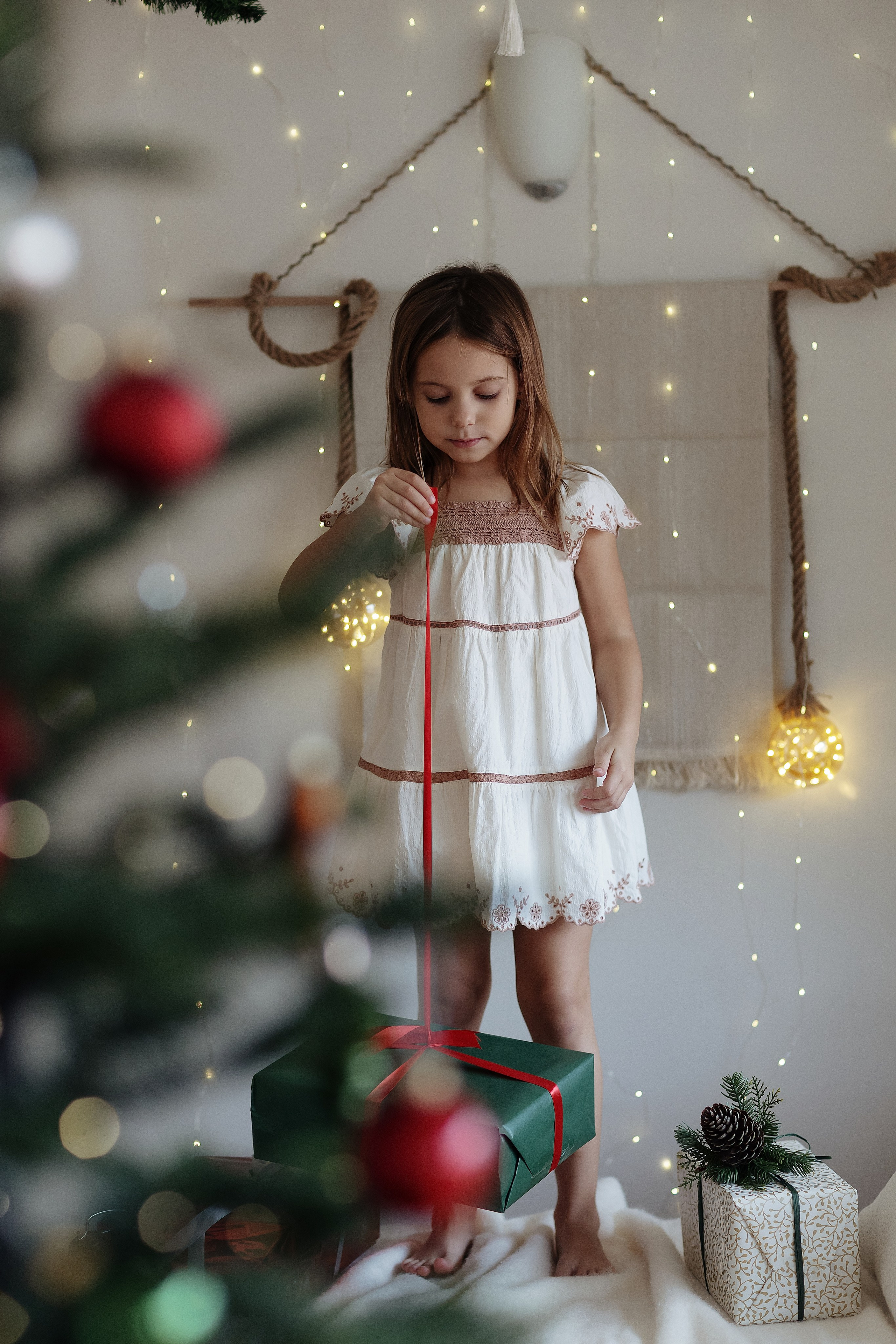 Рождество Гран Канария. Alla Semchenko — Photography Gran Canaria, Art / Family / Kids / Video & Photo Books