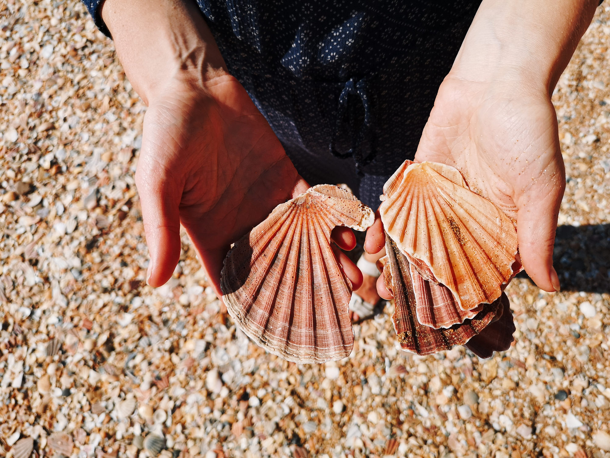 Ceļojums Portugāles dienvidos