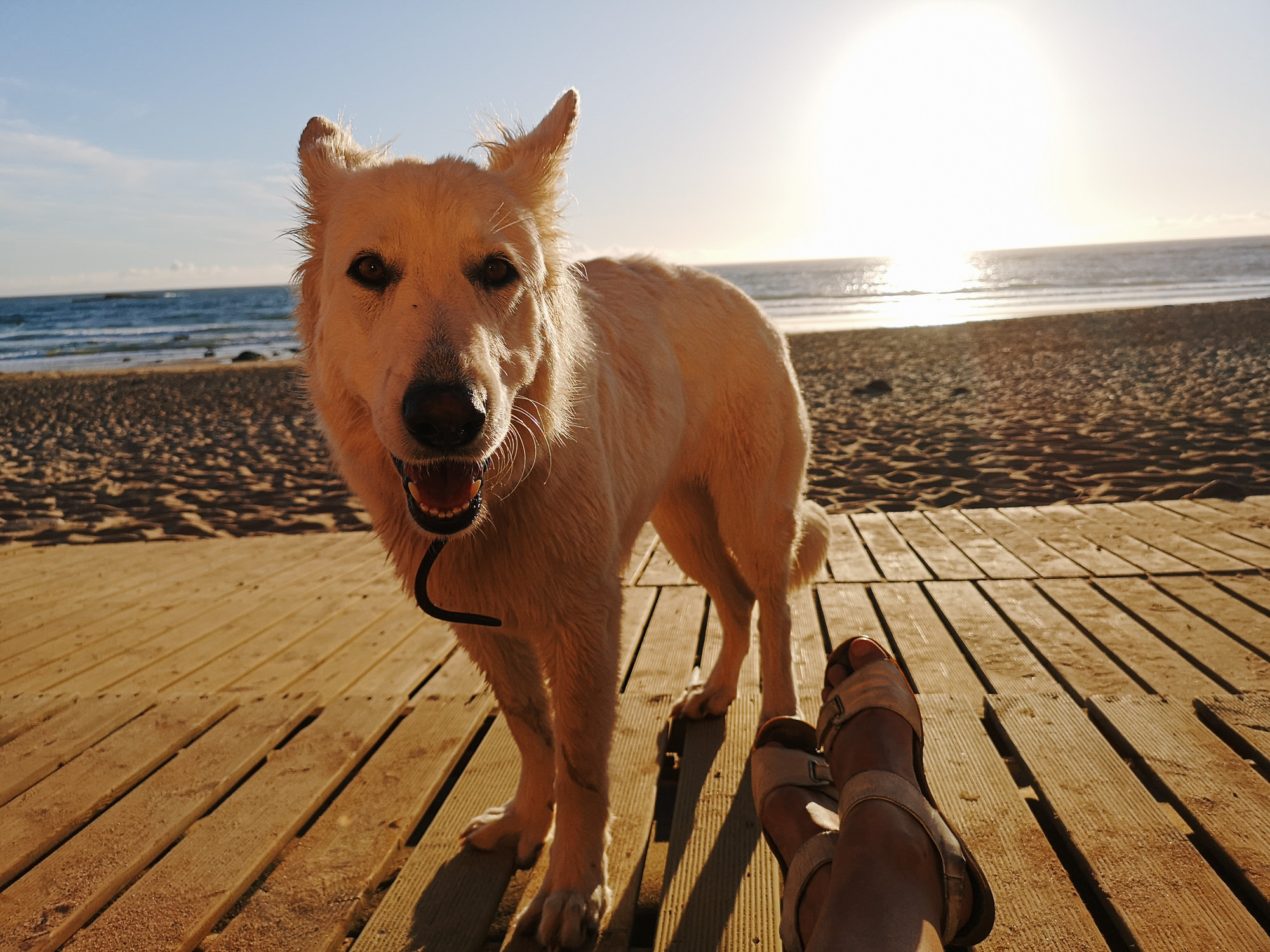 Ceļojums Portugāles dienvidos