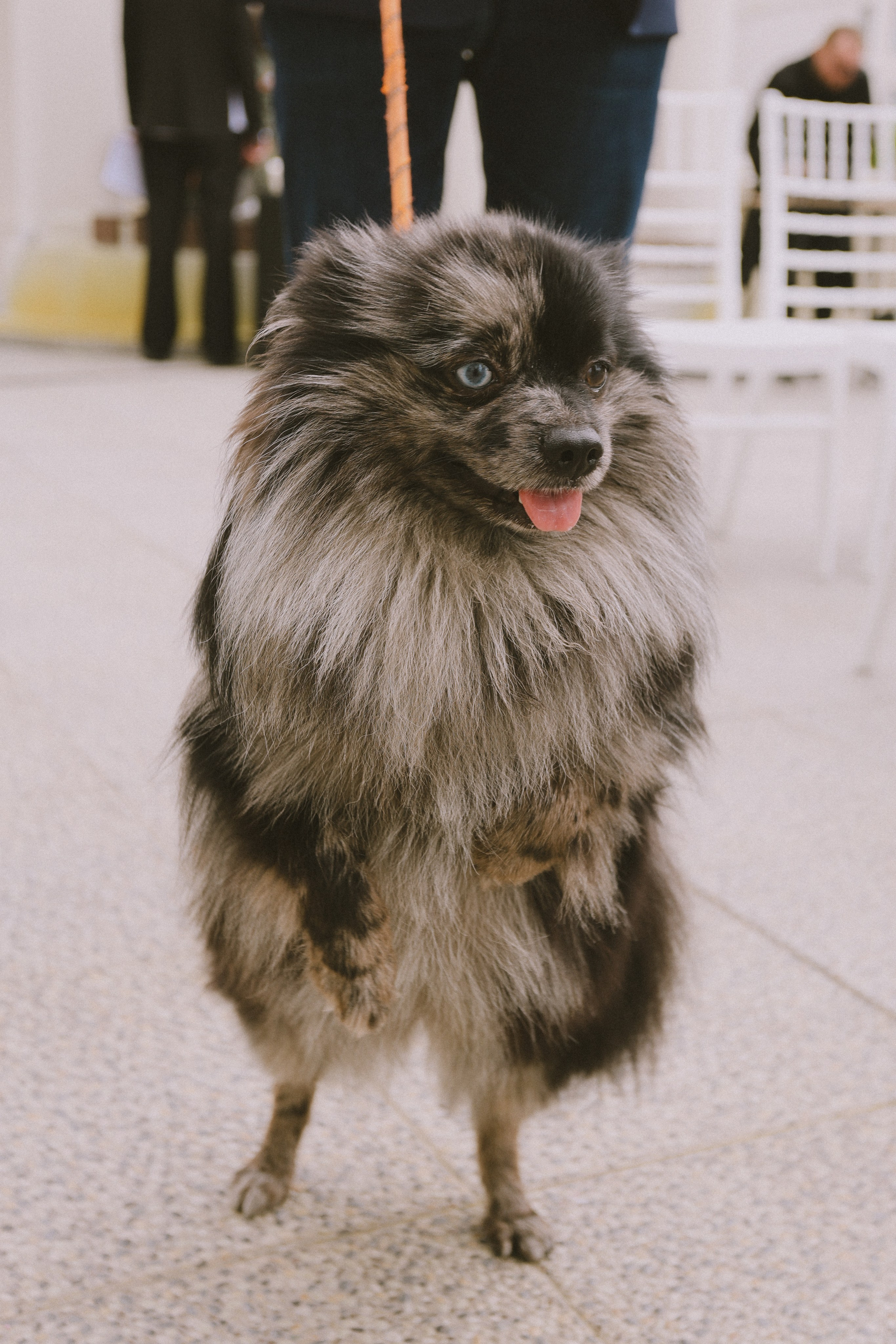 Emin & Ani. Свадебный, семейный и детский фотограф в Беларуси и за ее пределами