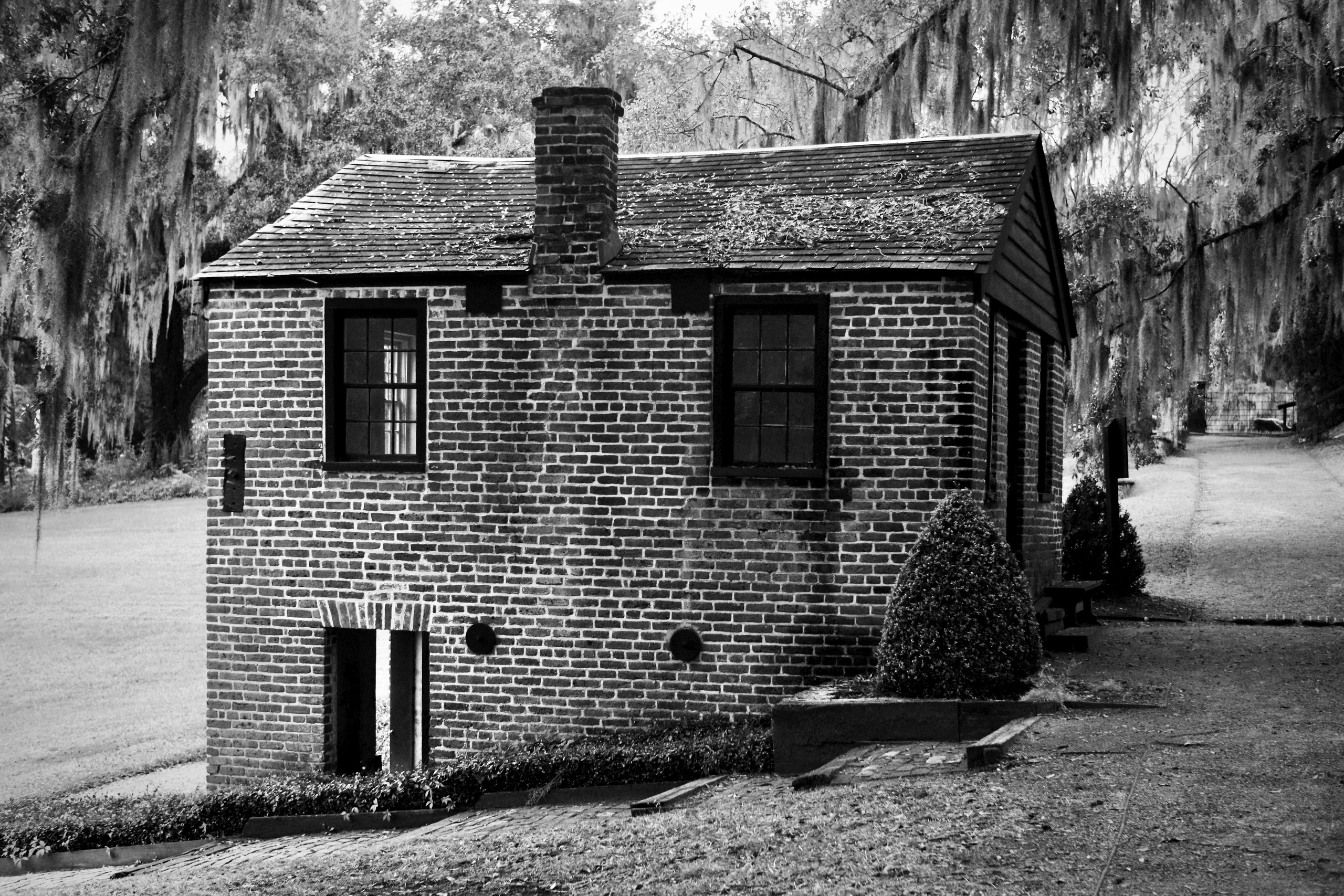 Monochrome. Sonny Photos