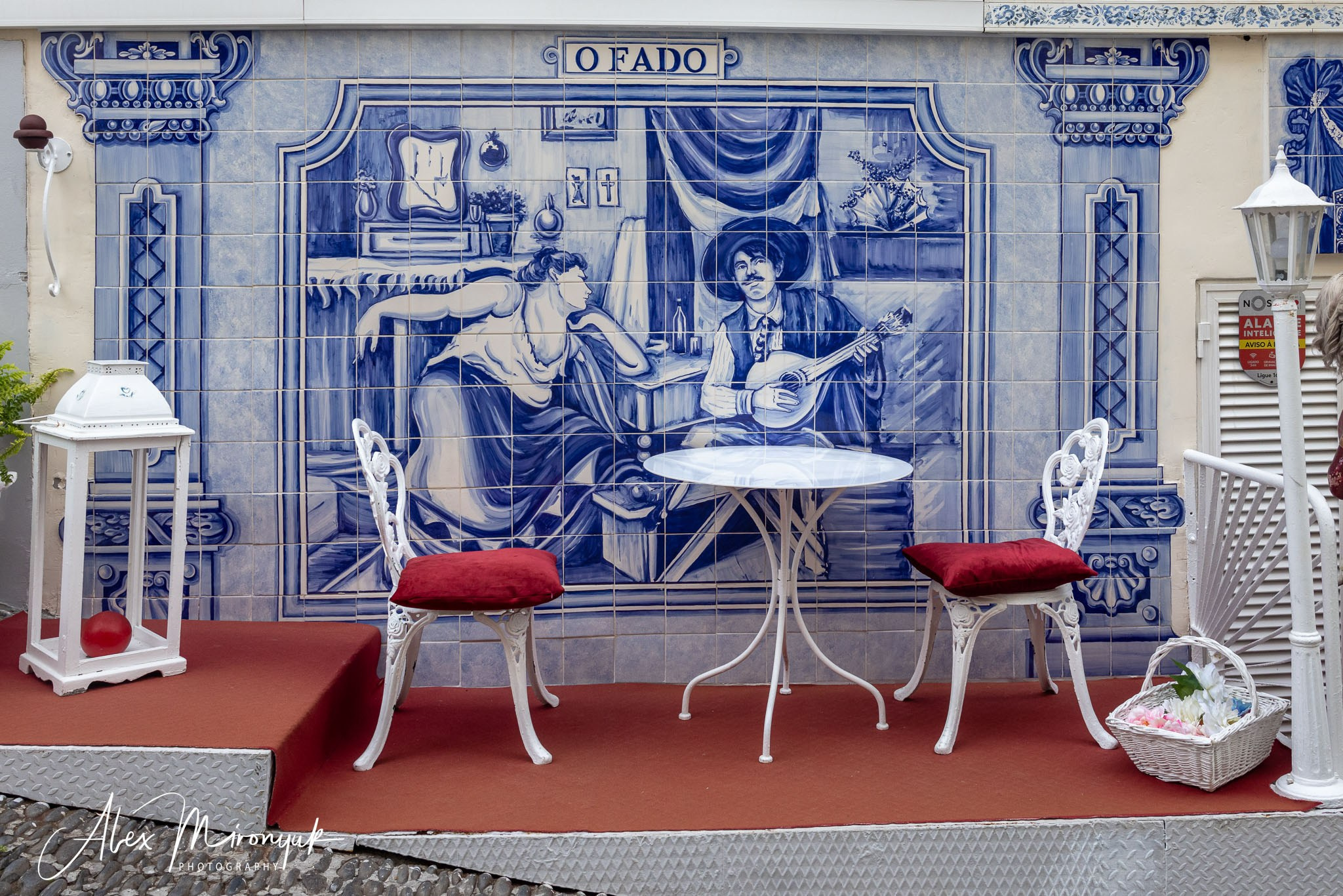 Madeira And Azores. Pet, Senior, Landscape, portrait studio, photographer in Miami and Sou