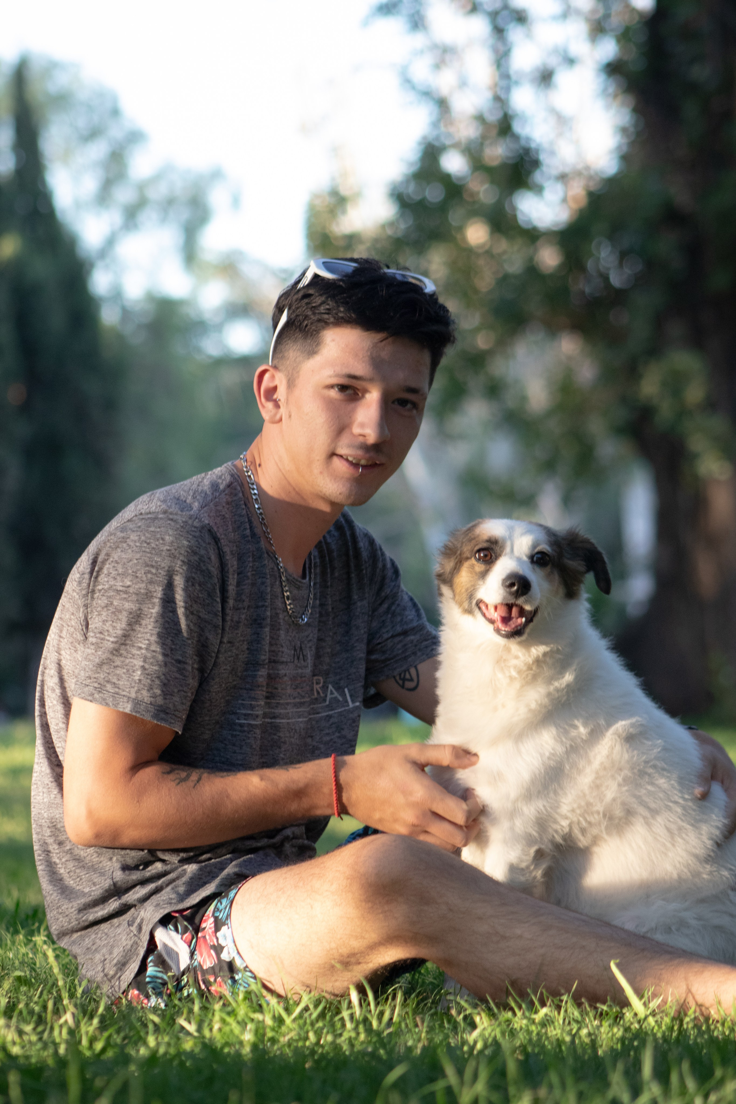 fotógrafo de retratos de mascotas