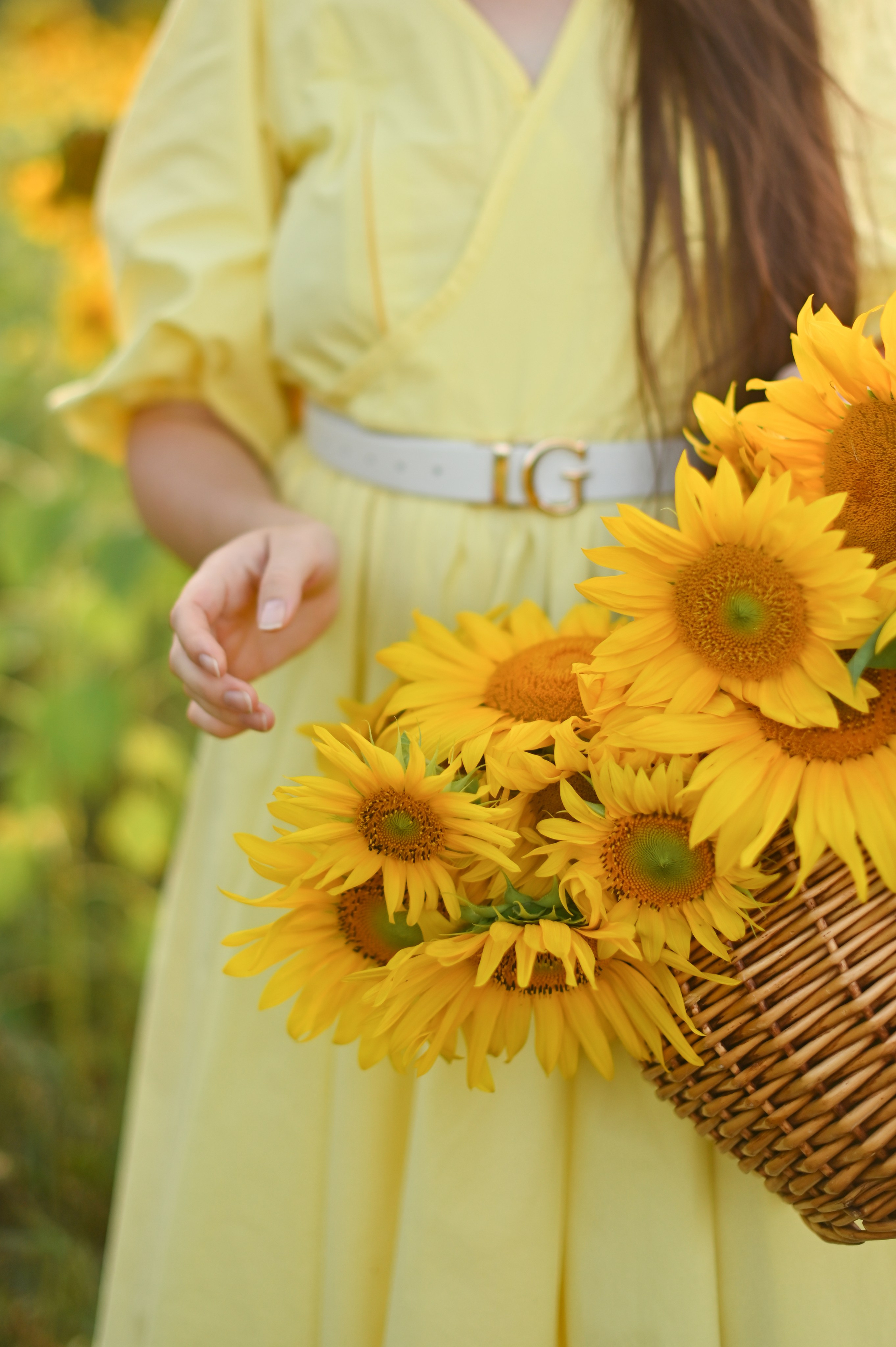 Подсолнухи. Детский и семейный фотограф в финляндии дина пулкка. контент фотограф