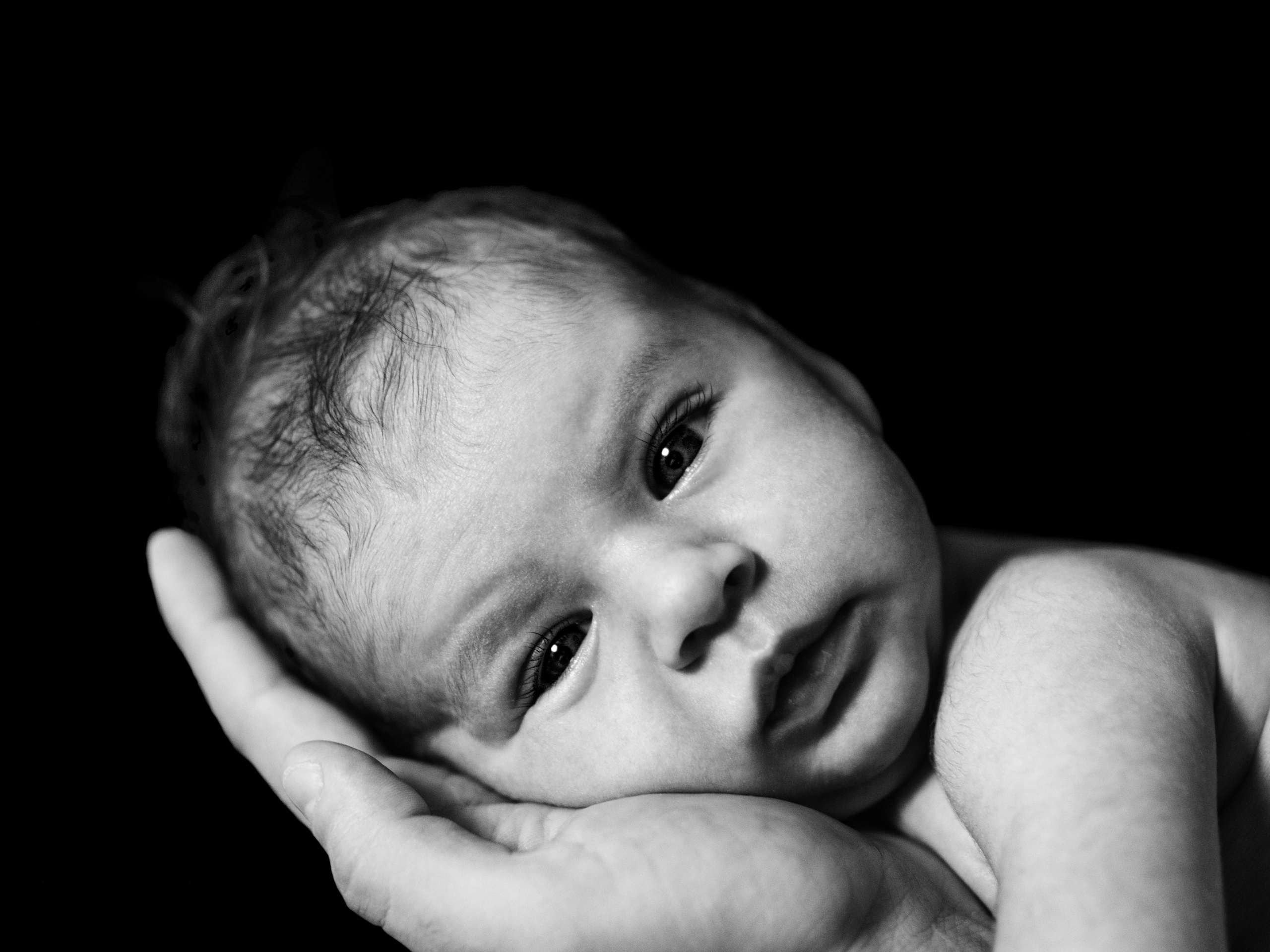 Foto bianconere. Fotografa di neonati di attesa di famiglia Gero Kateryna