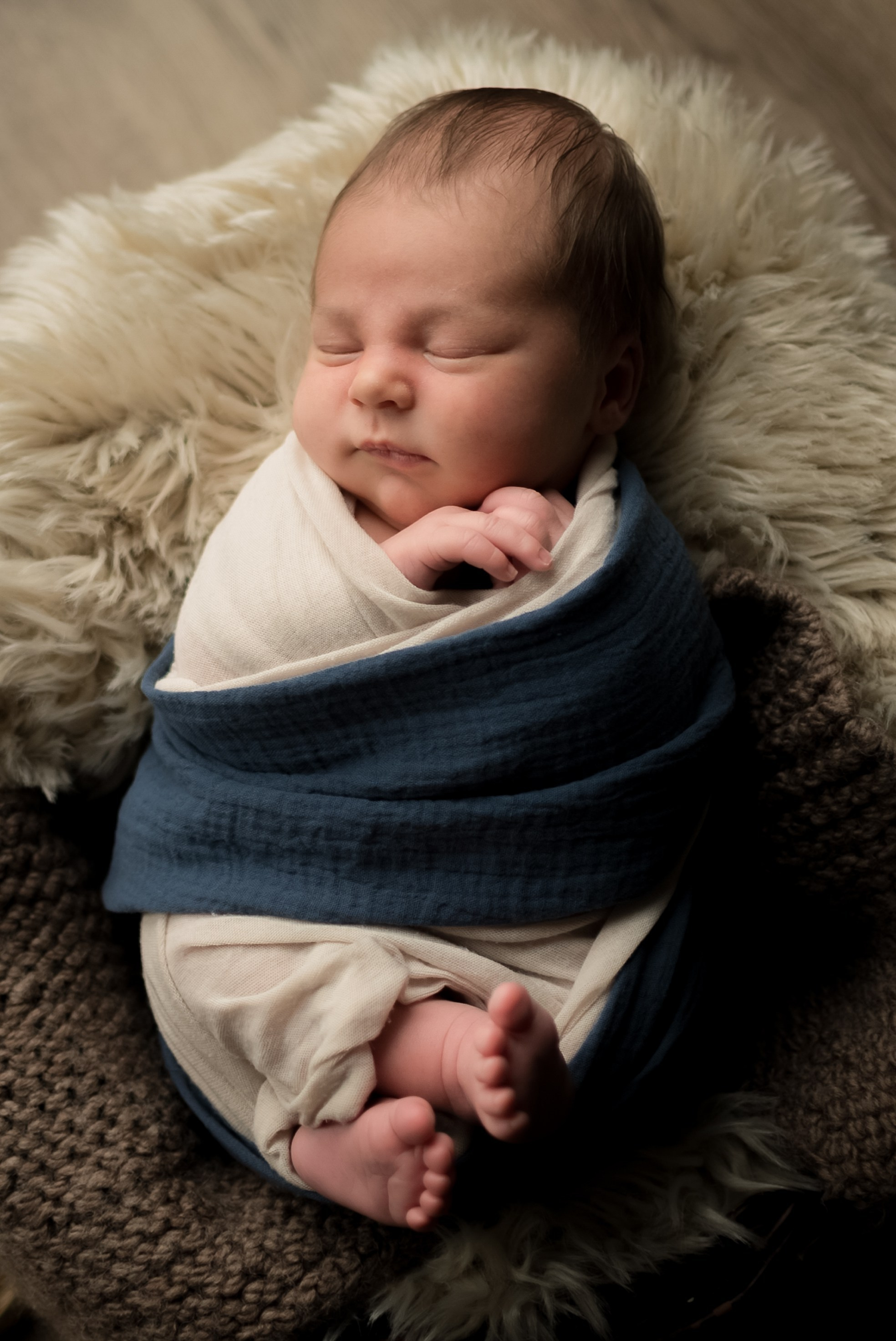 Neugeborene. Lena Horch