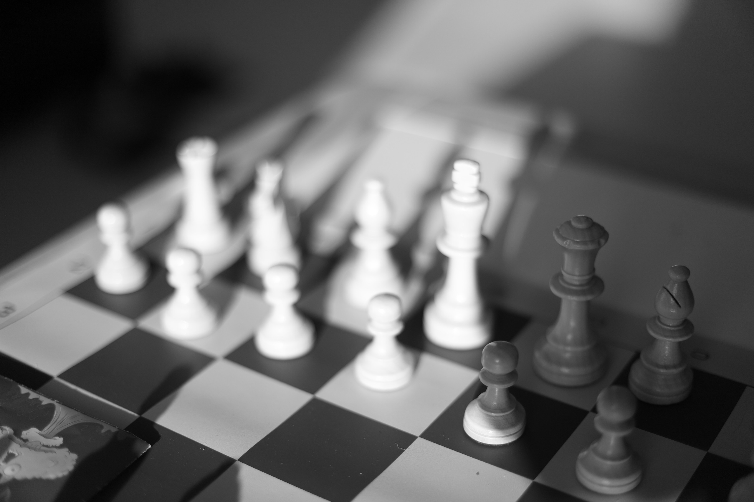 Services. Family and Portraits photographer Diana Andoni