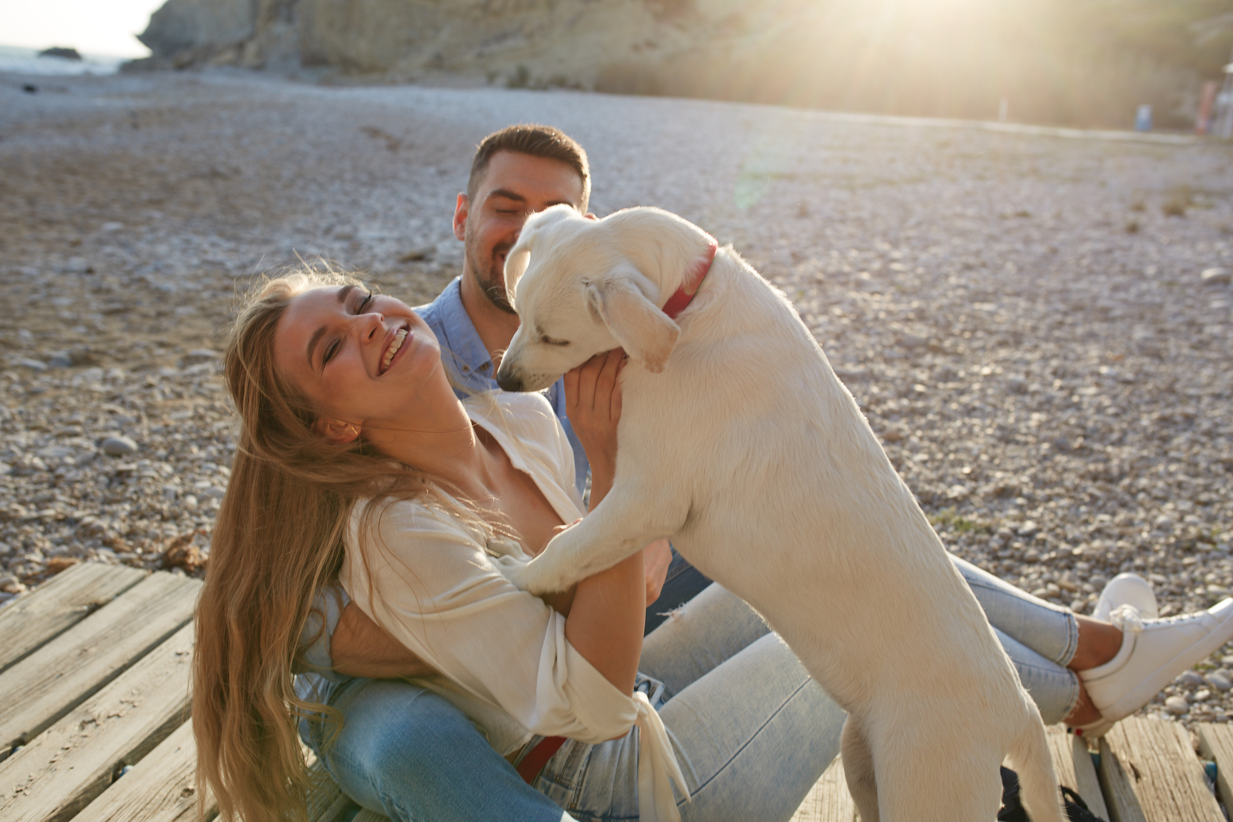 AMOR. PÁGINA PRINCIPAL