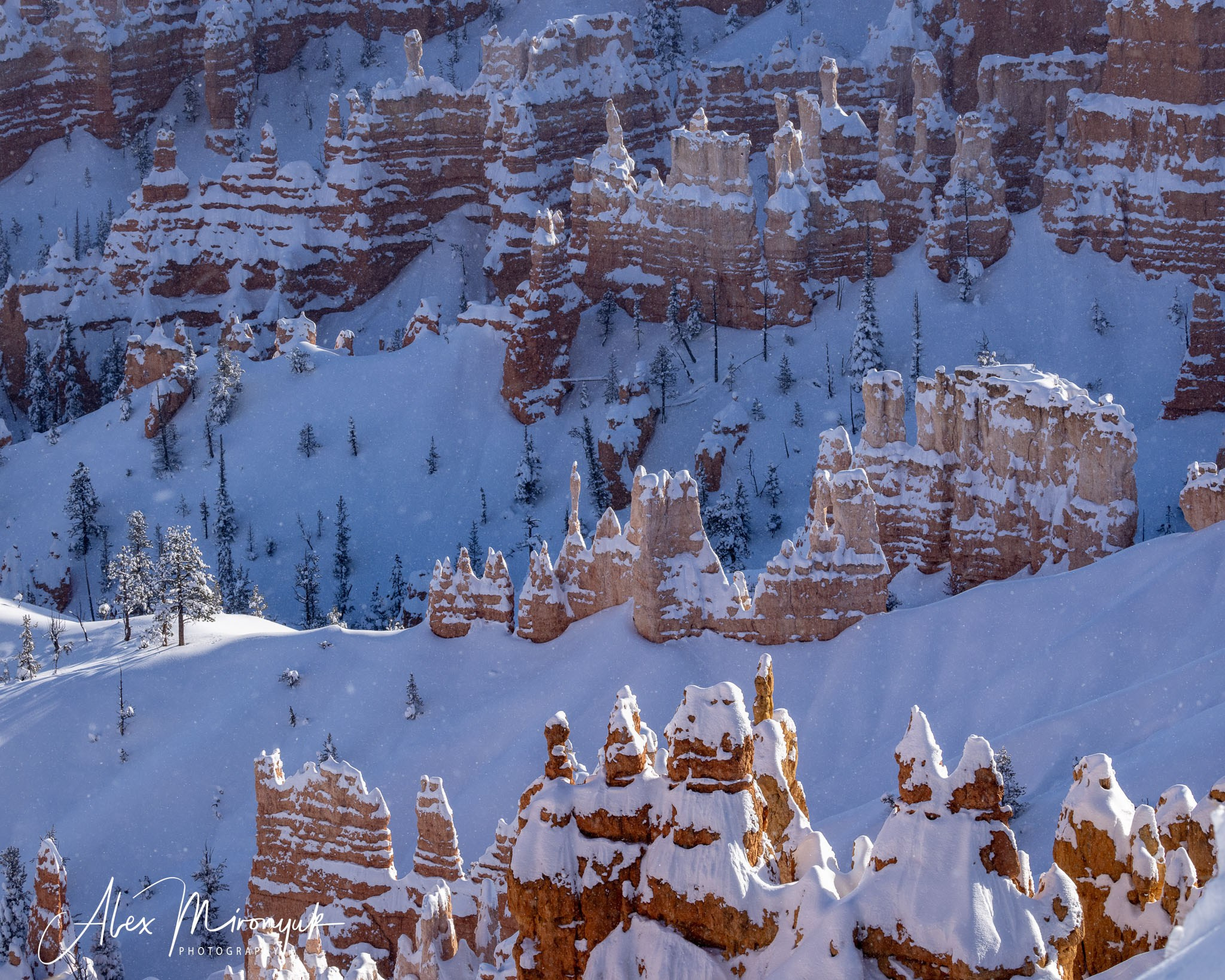 New Year In Utah. Pet, Senior, Landscape, portrait studio, photographer in Miami and Sou