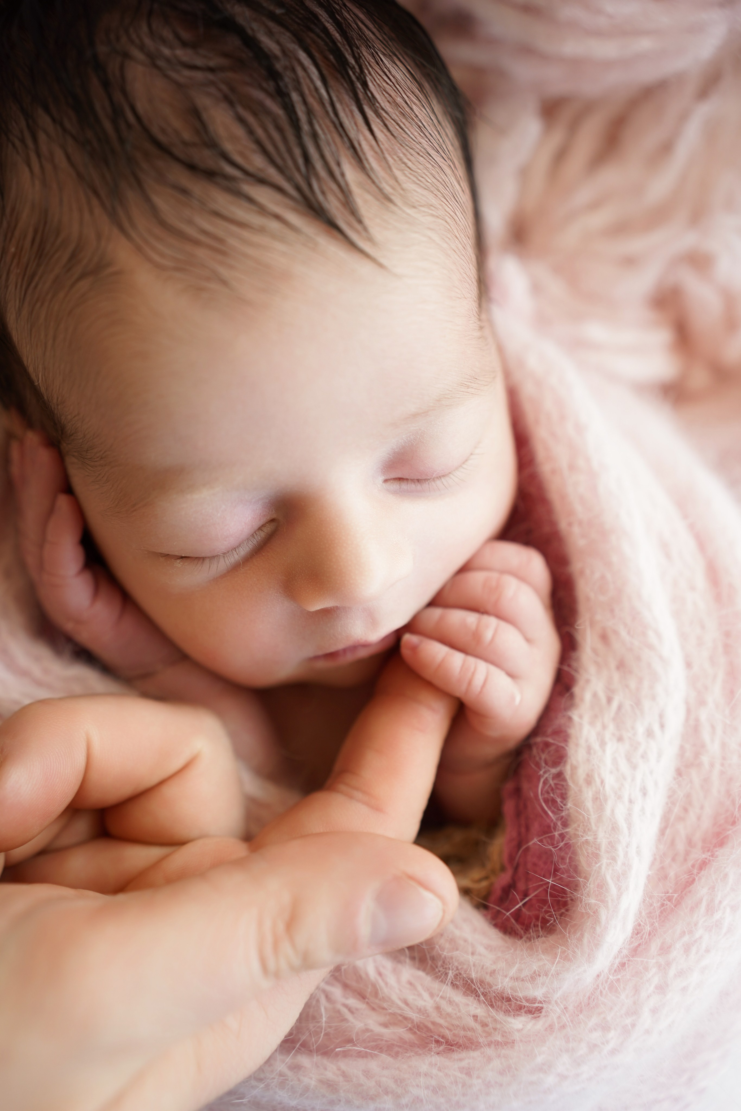 Newborn+Family. Maternity, family and newborn photography in San Francisco Bay Area