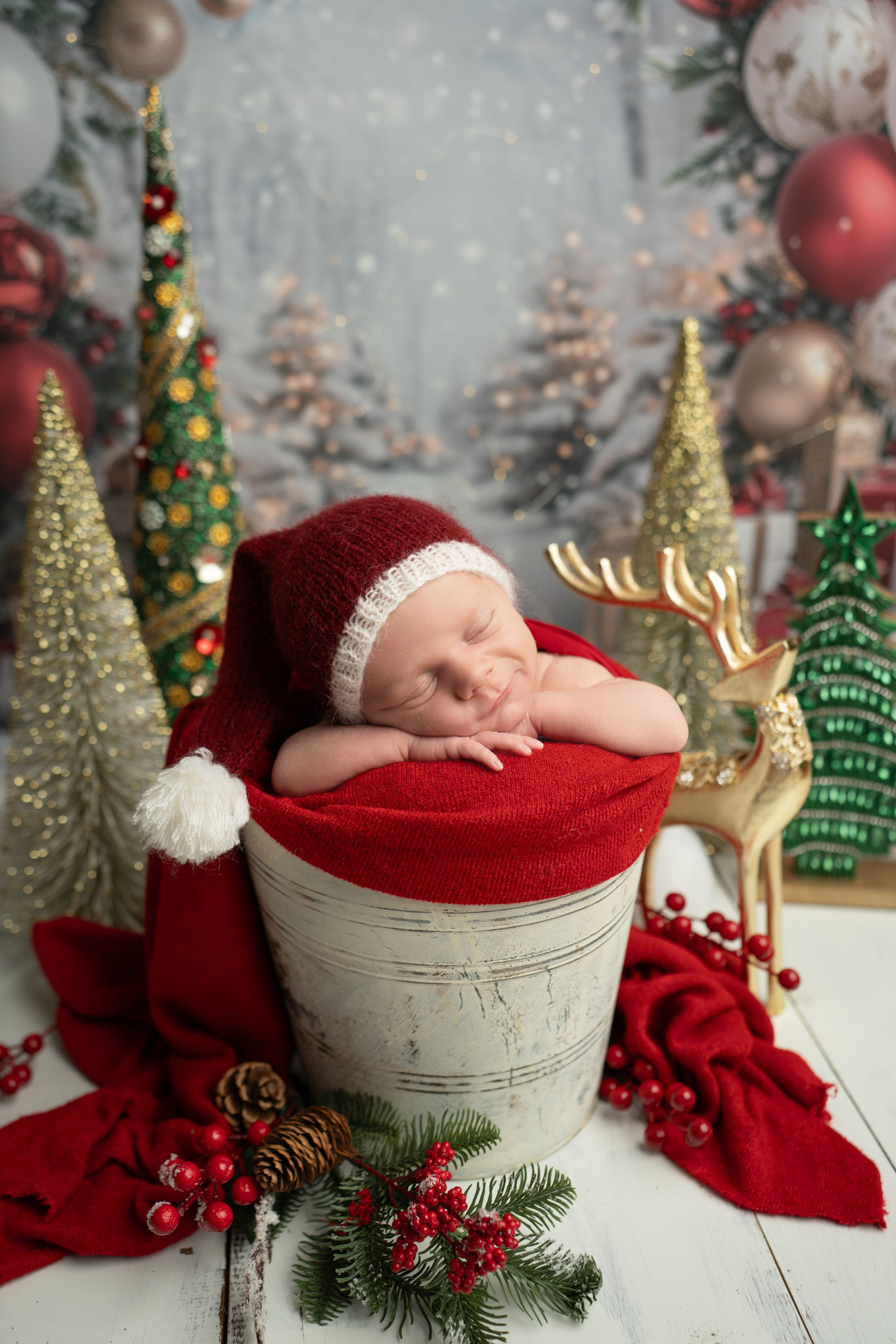 Posed Newborn. Maternity, family and newborn photography in San Francisco Bay Area