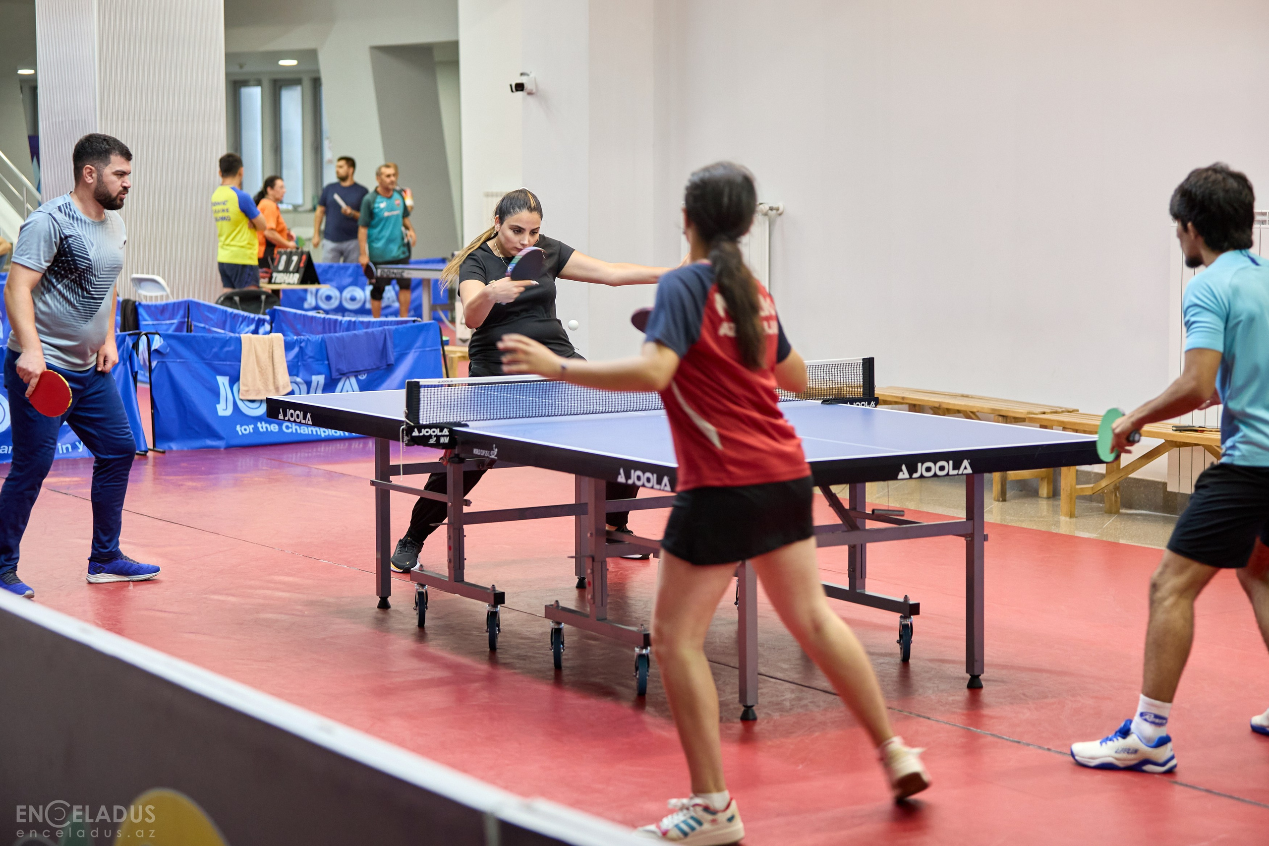 Table Tennis. Mix Tournament. Фотограф в Баку Kamran Enceladus