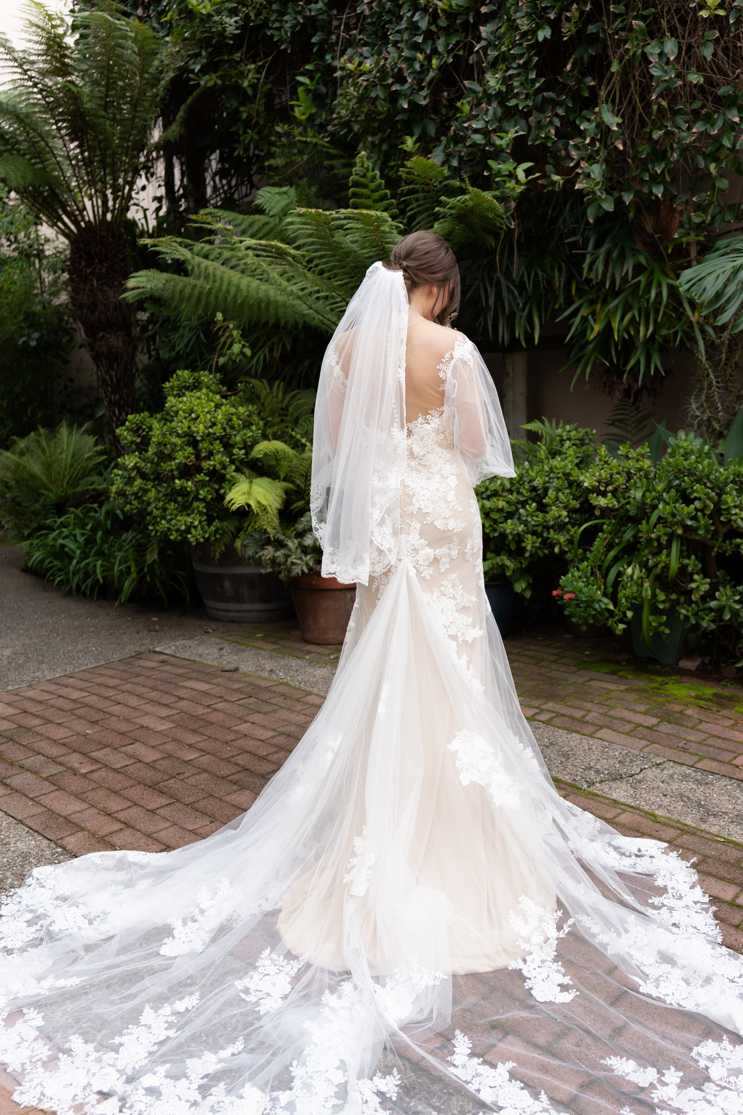 bride in a long wedding dress from the back