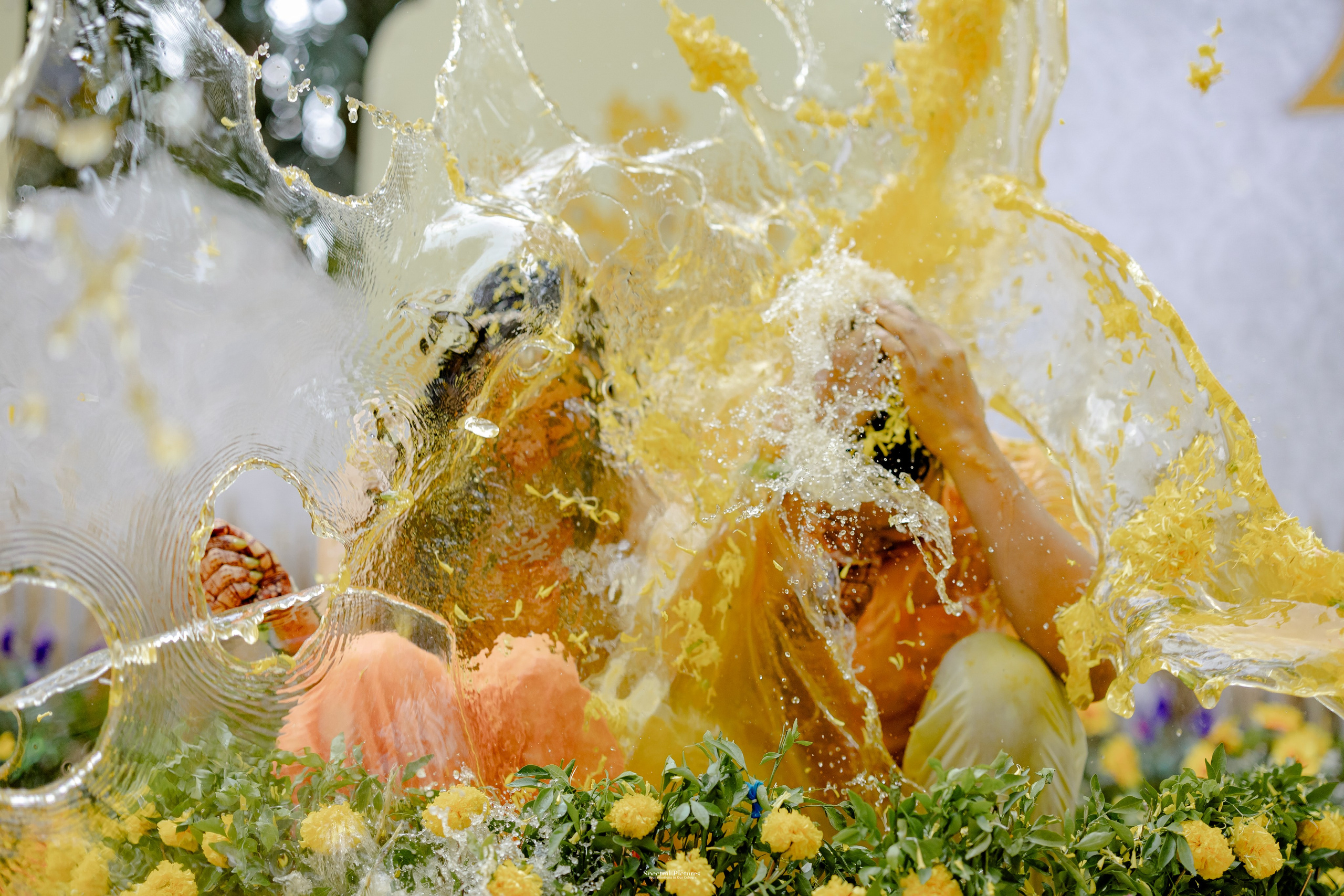 “Bob’s Bar to The Big Day — Starring Amulya & Aditya”