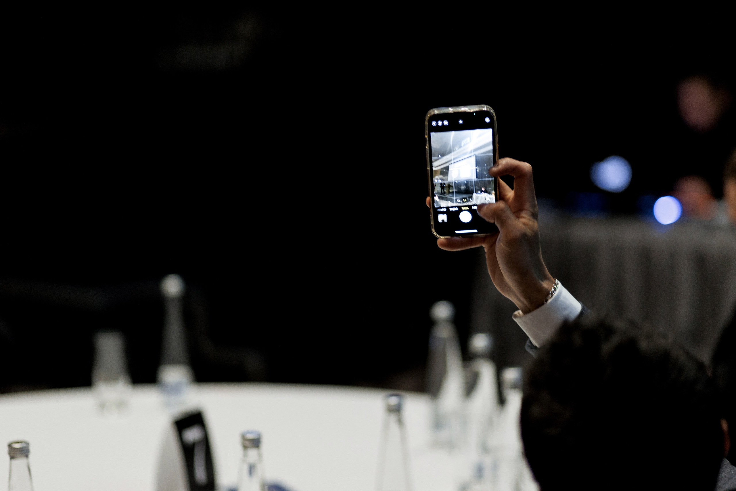 Lions DAY. Свадебный фотограф Каледич Тимофей