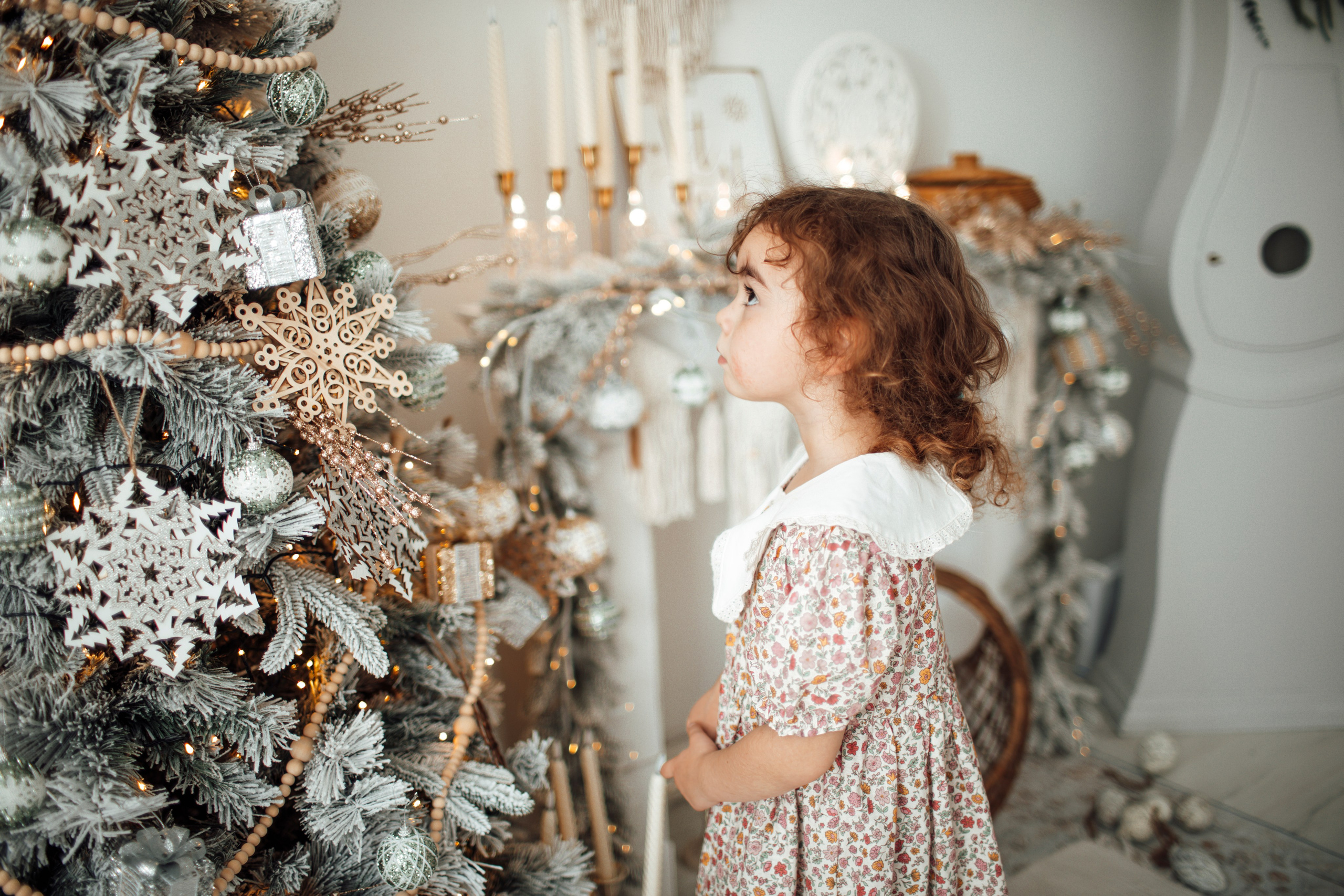 Julfotografering 2025🎄🎄🎄. Axlundphotography.se