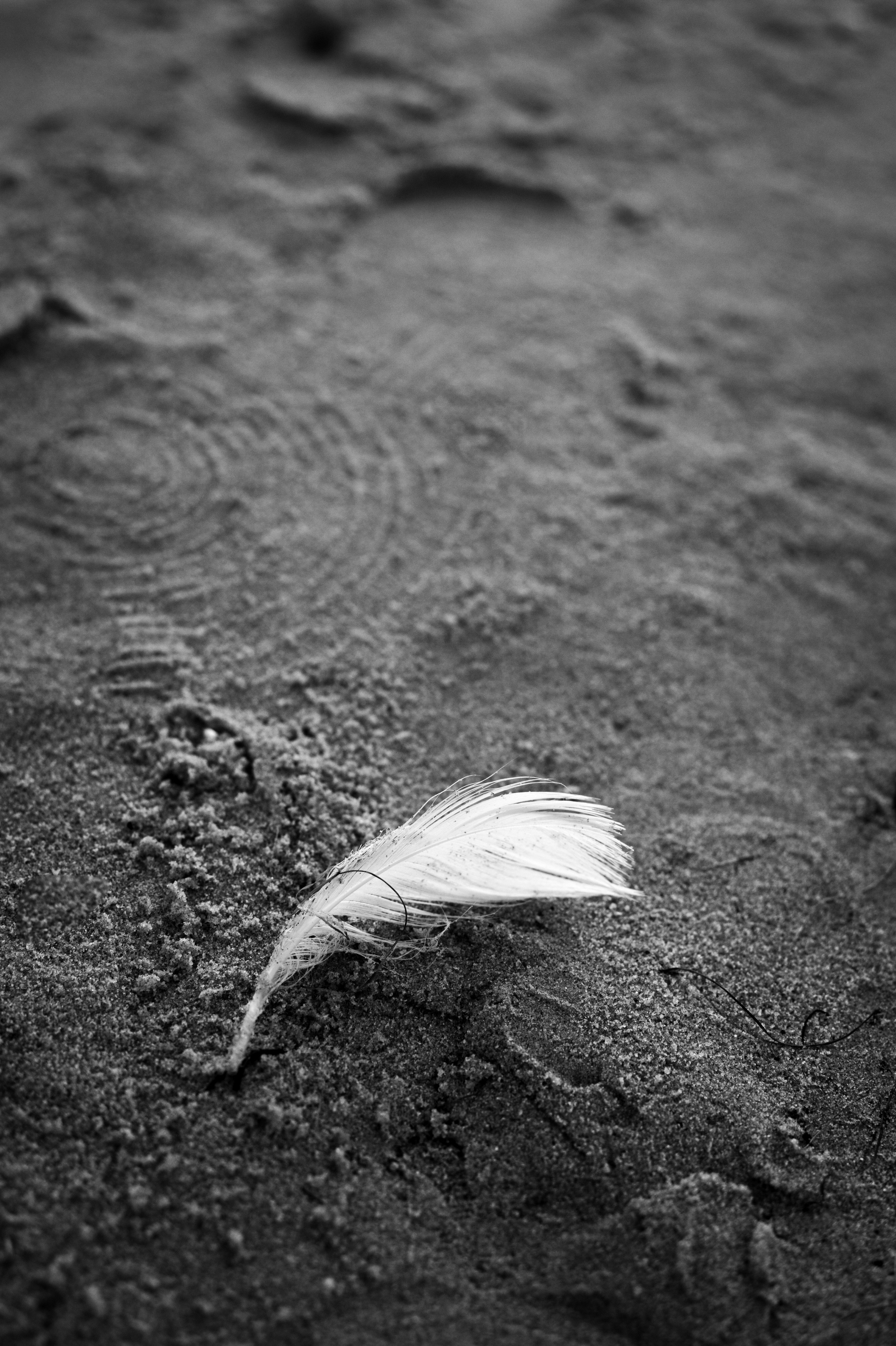 Катя. Marianna.gluhova.photostory