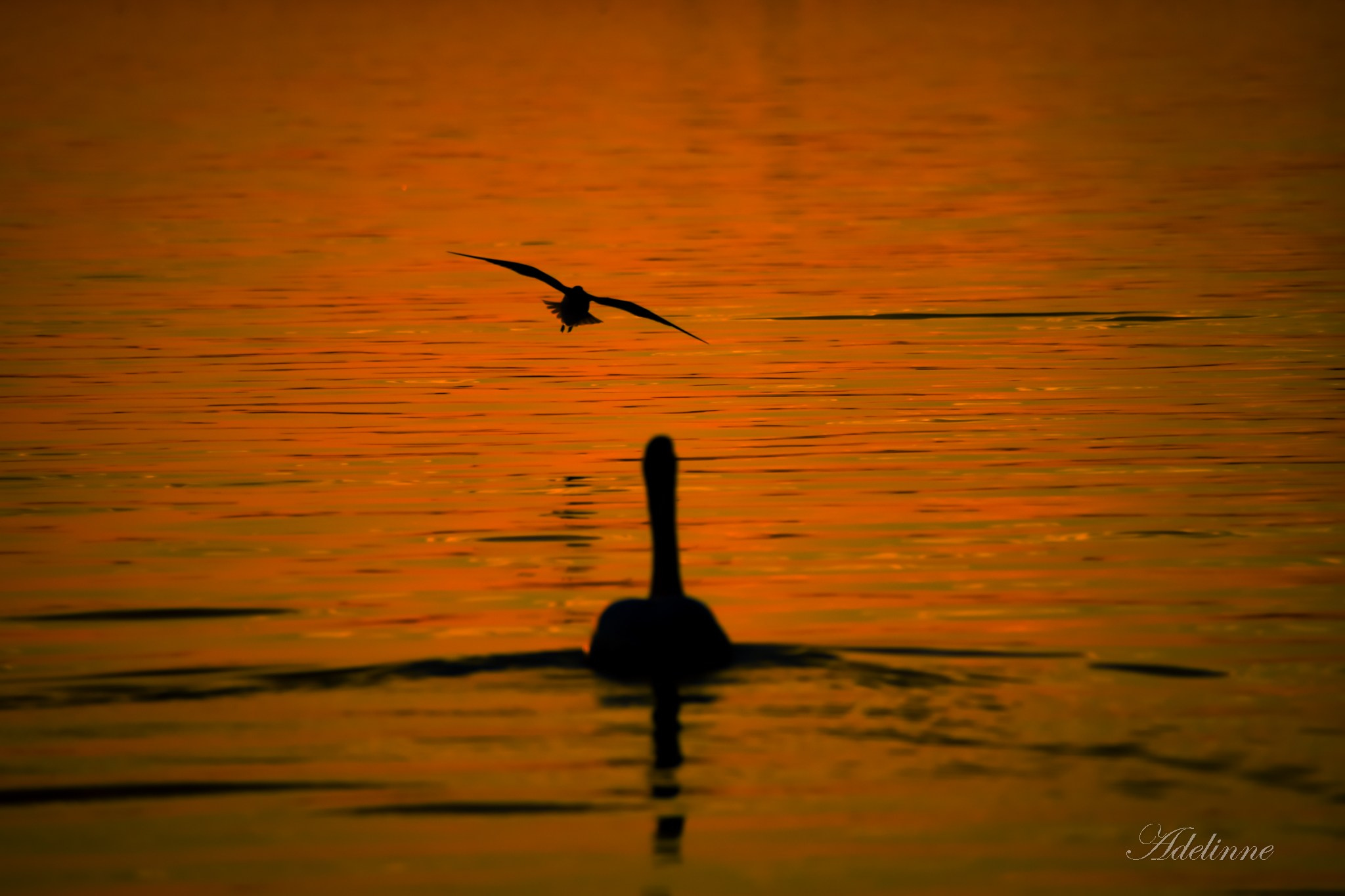 Nature❤️. Adelinne