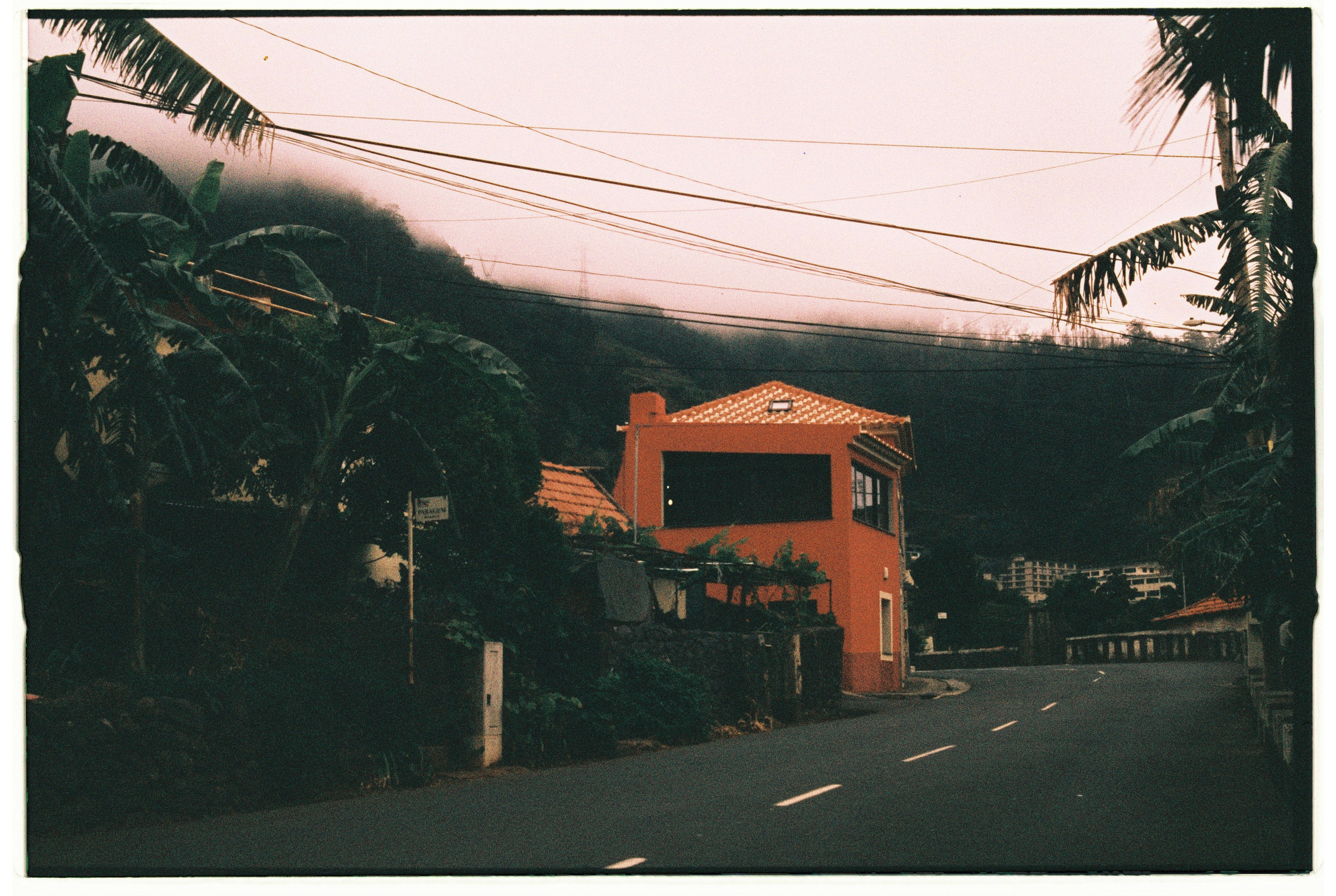 Madeira on film. Portrait photographer in Madeira — Marina Shtukina