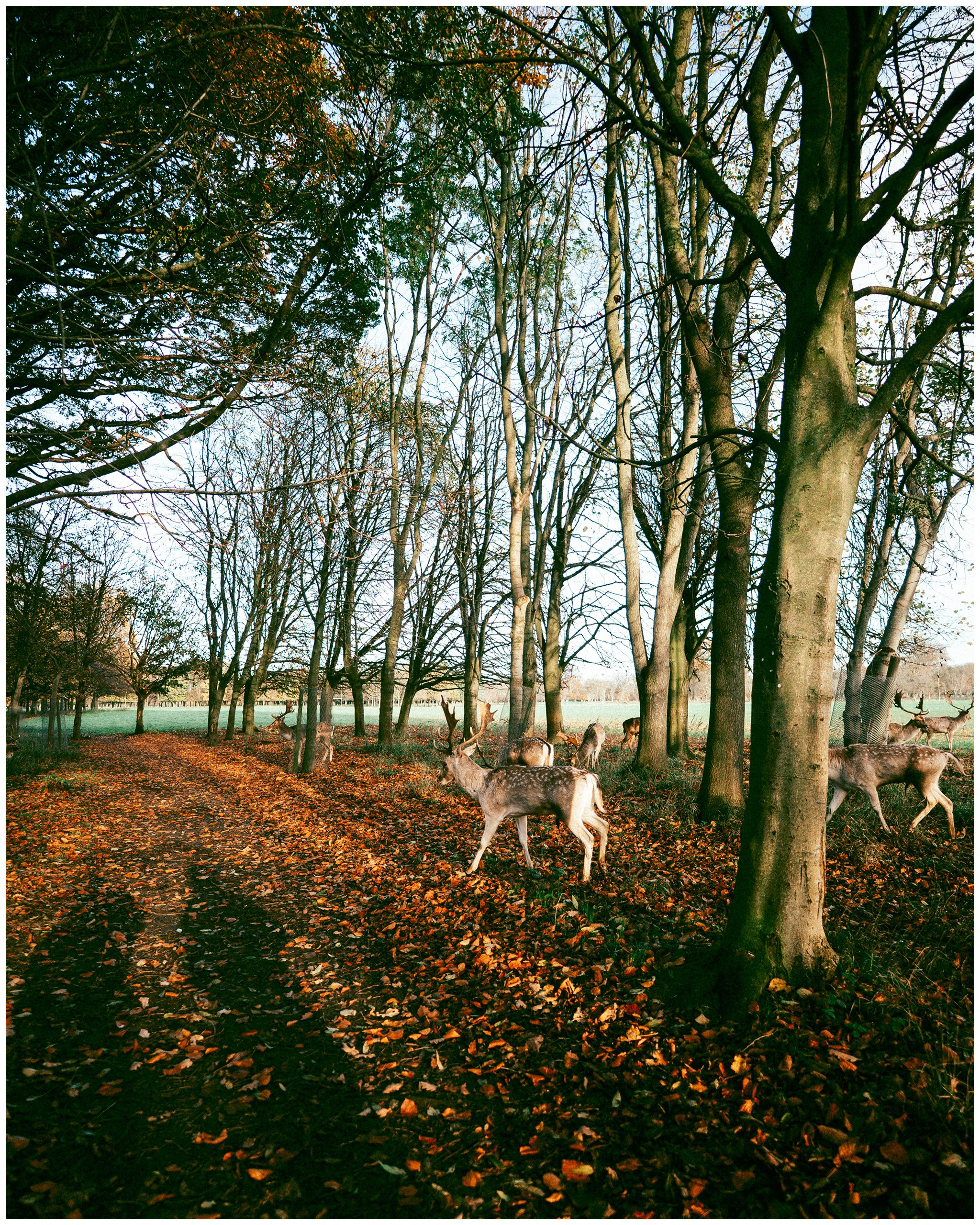 IRELAND. Inna Mendelson — Photographer