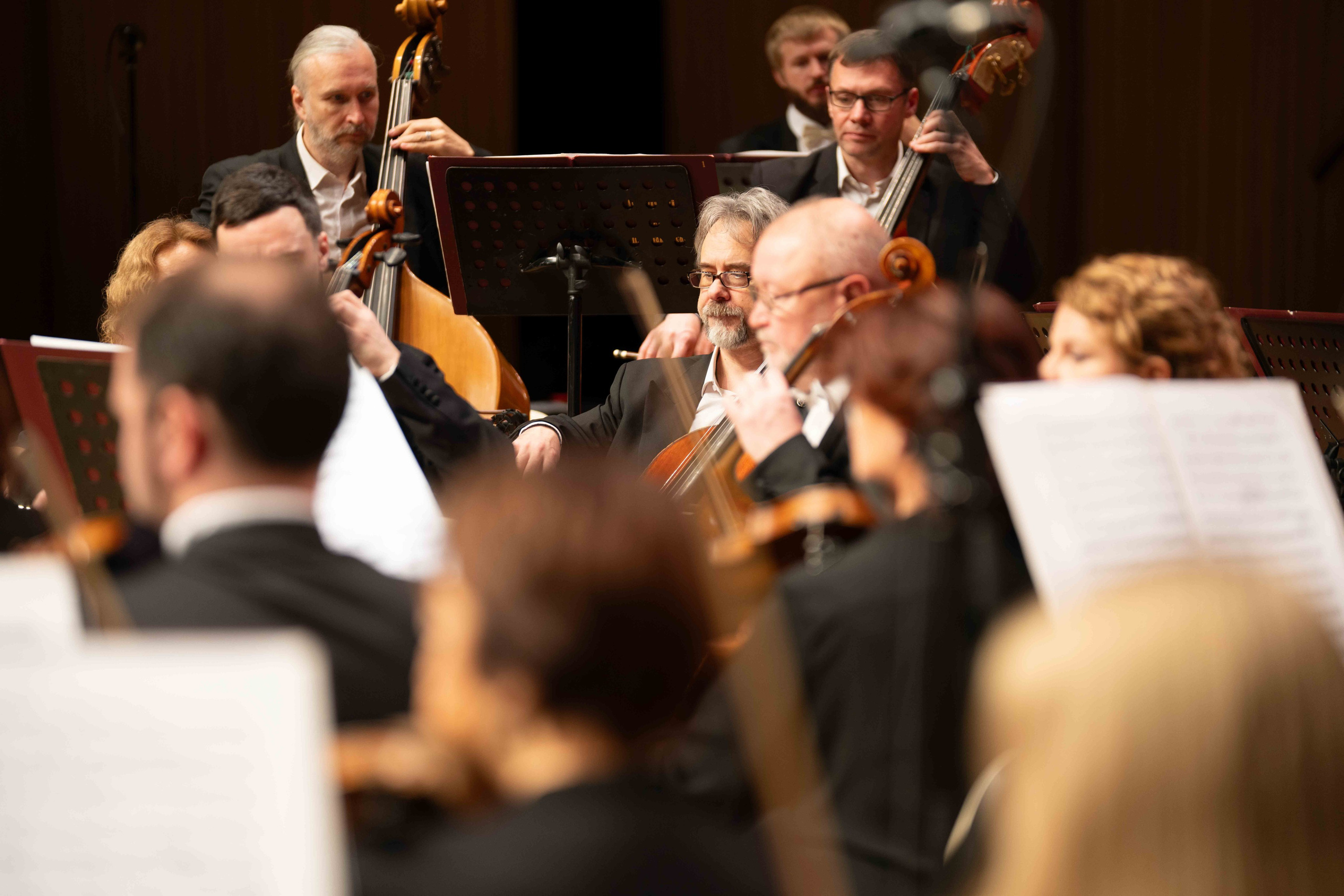 The Tchaikovsky Academic Grand Symphony Orchestra in Baku. Wedding&Event photographer Ismail Rzayev in Baku