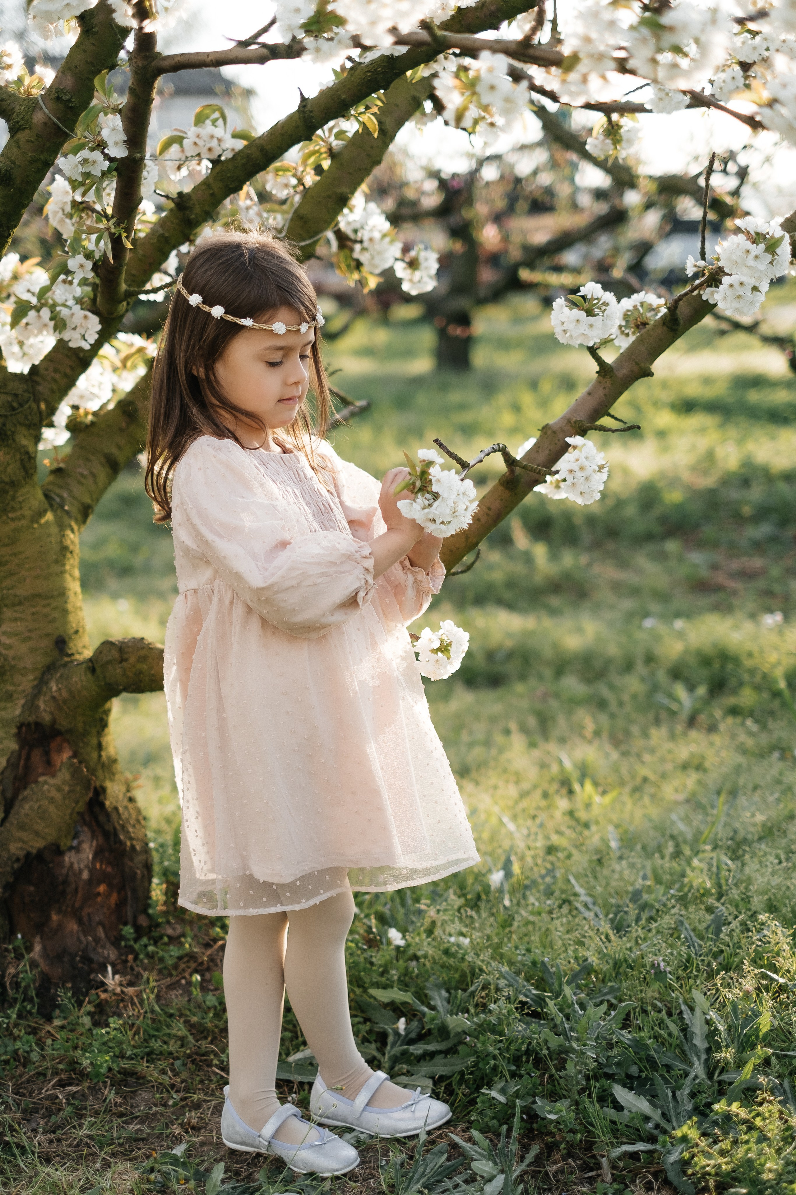 🌸🌸🌸. Fotografa Rimini